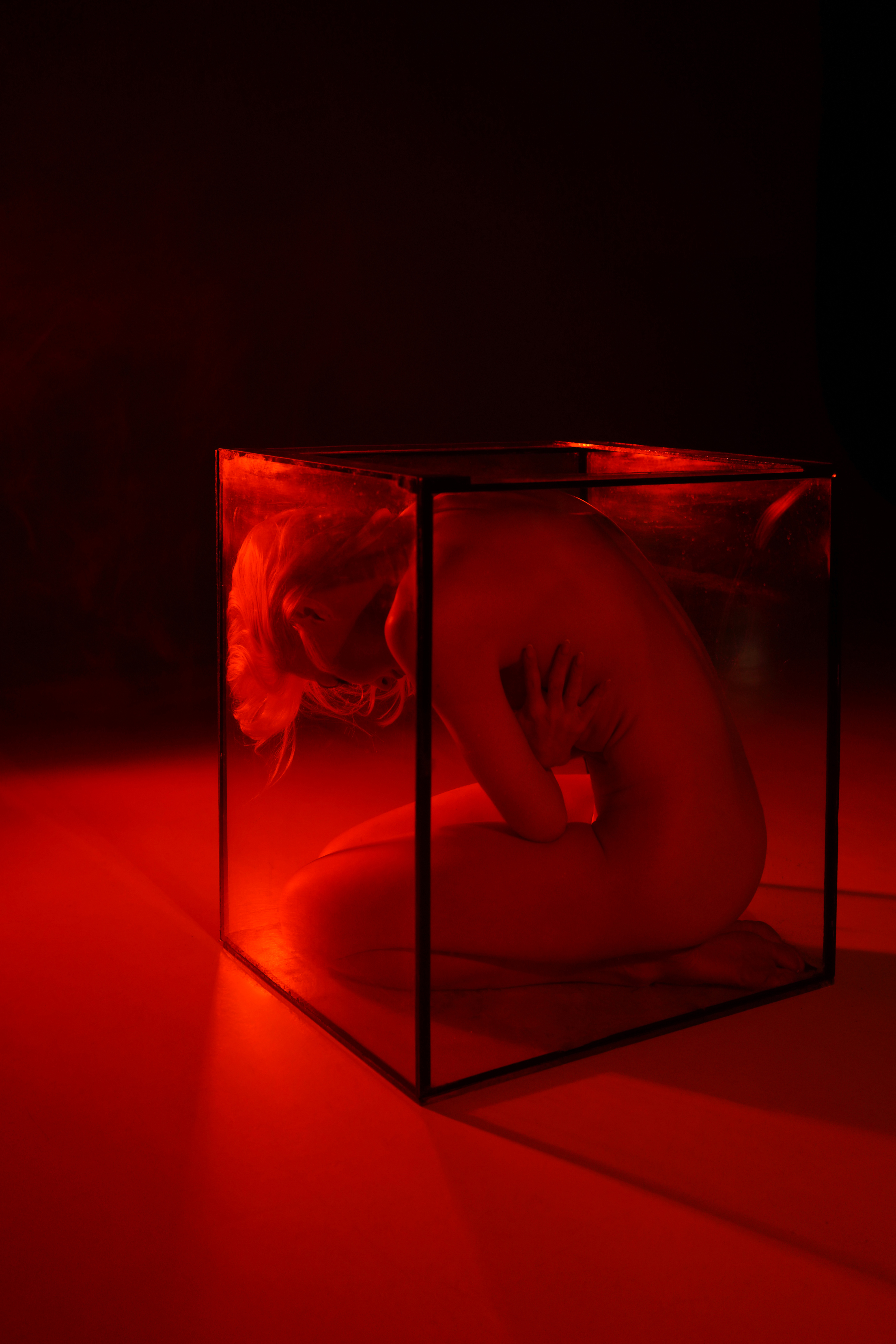 The cage #1