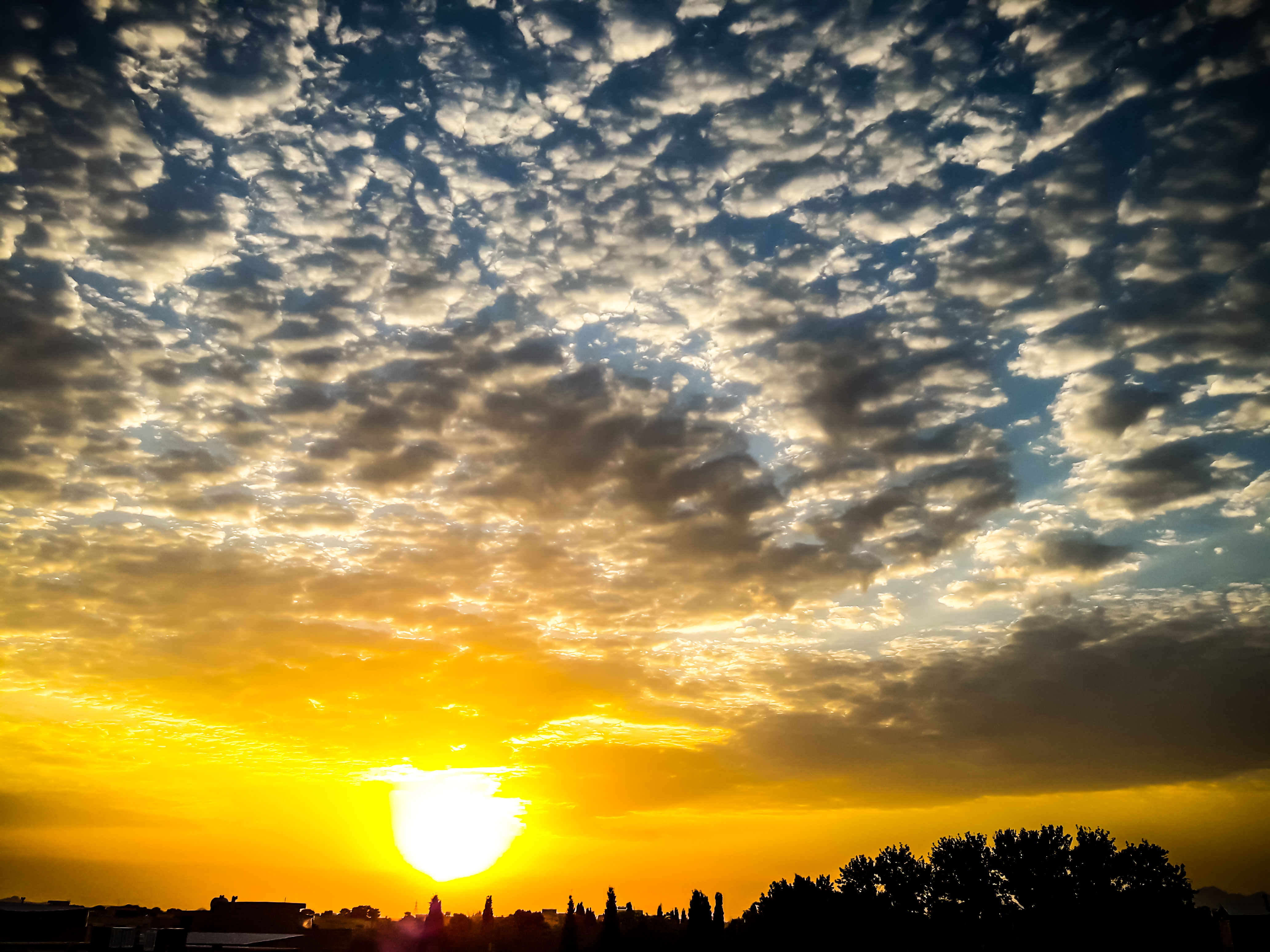 Golden Sunset #9