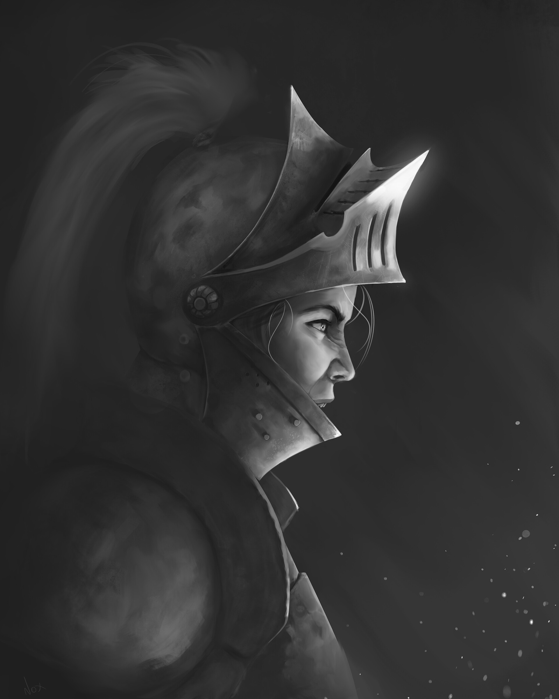Knight Process Reveal #16
