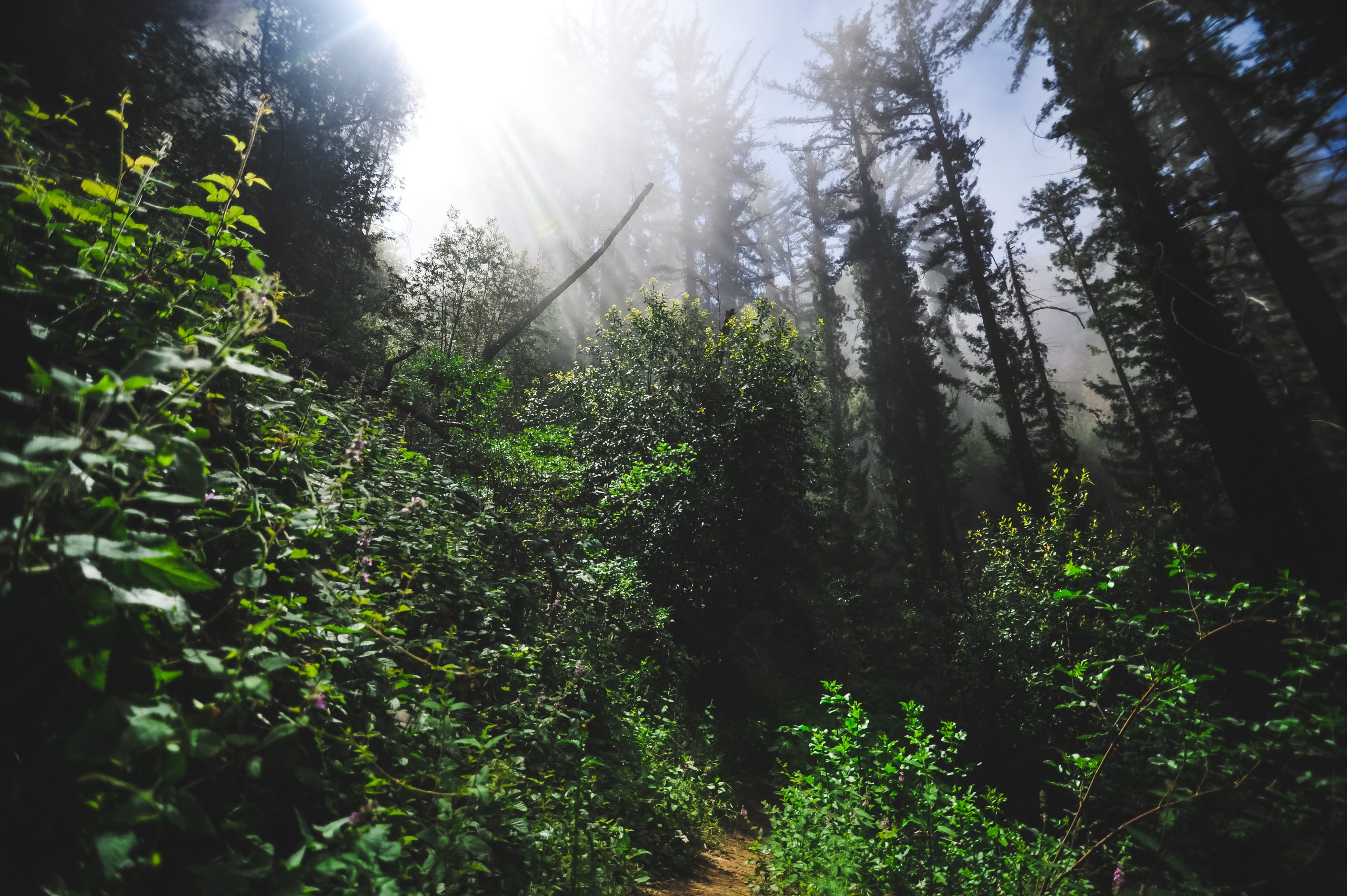 Big Sur - 13