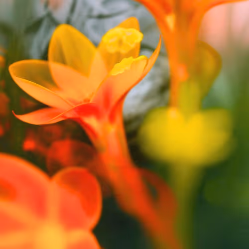 synthetic blooms