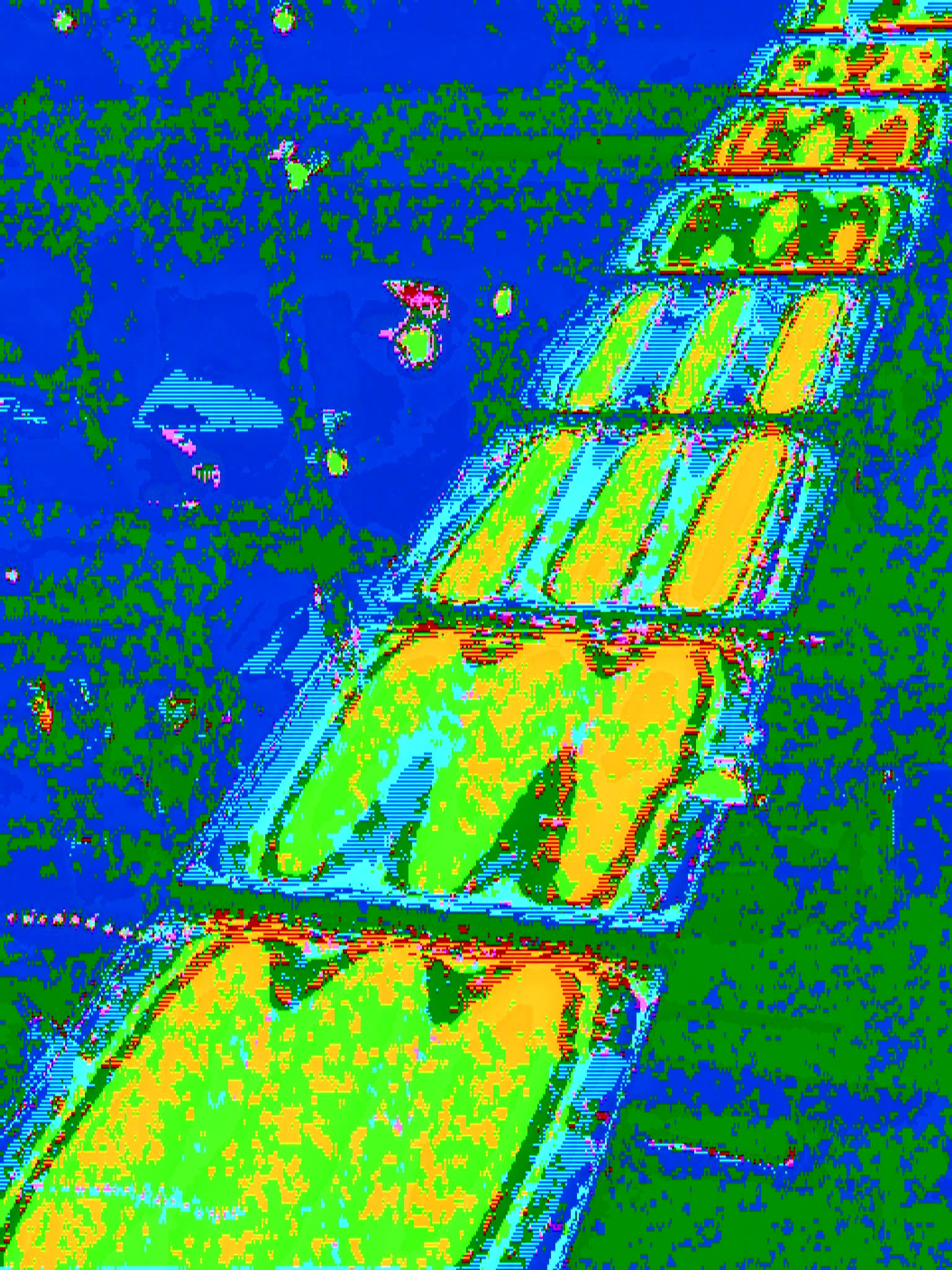 False Pathway
