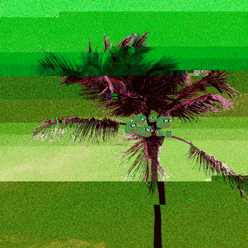 pepeParadise