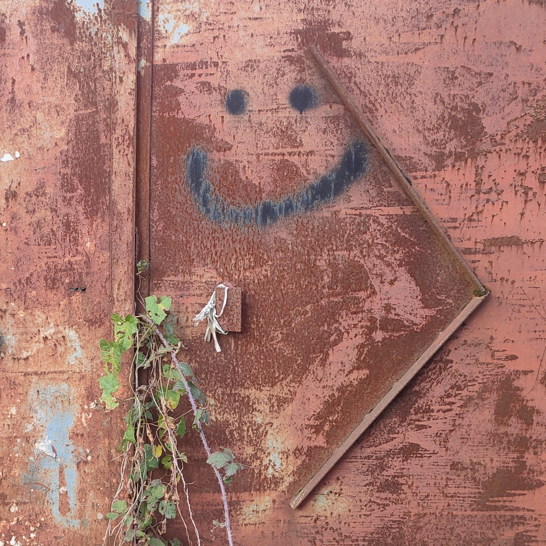 Smile