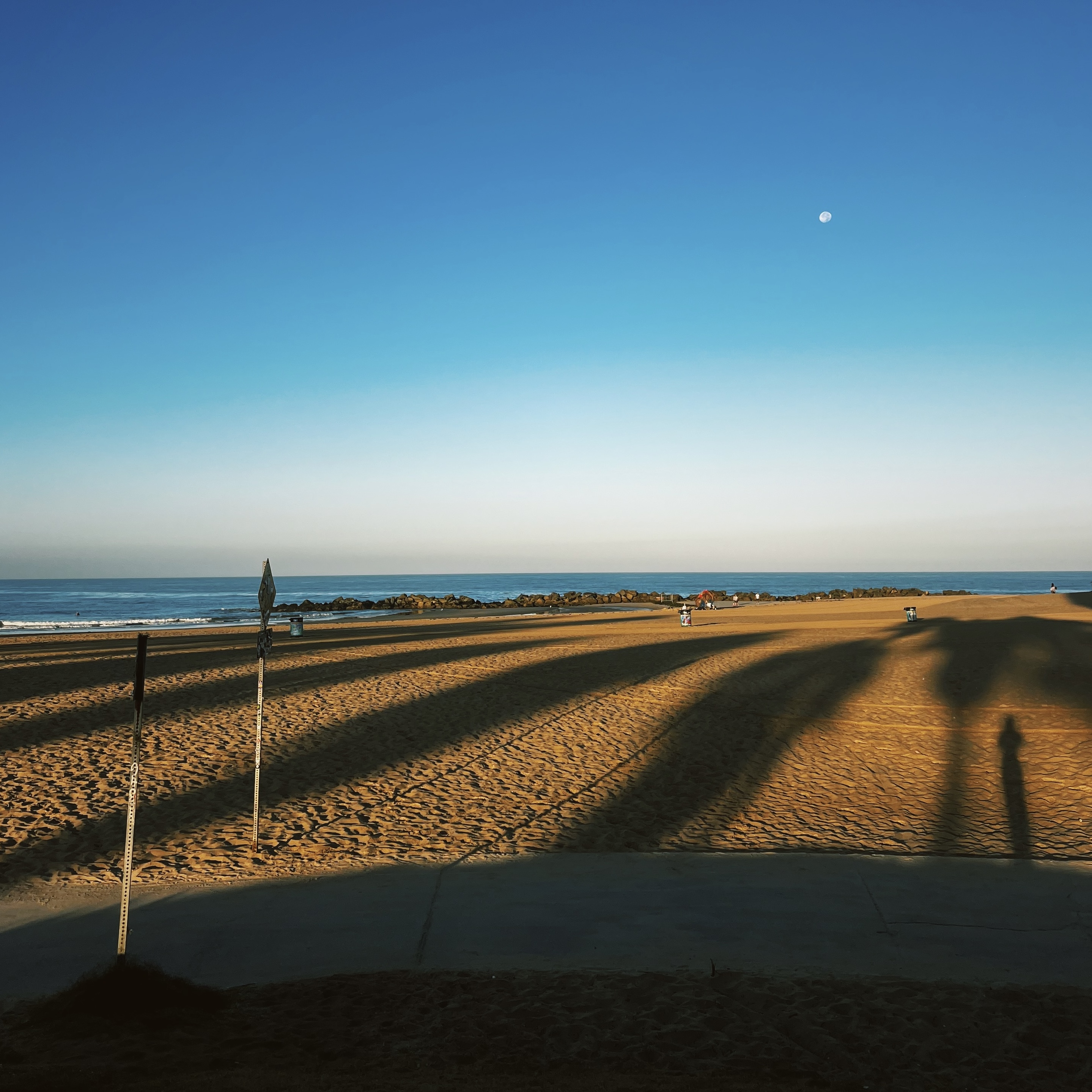 morning moon