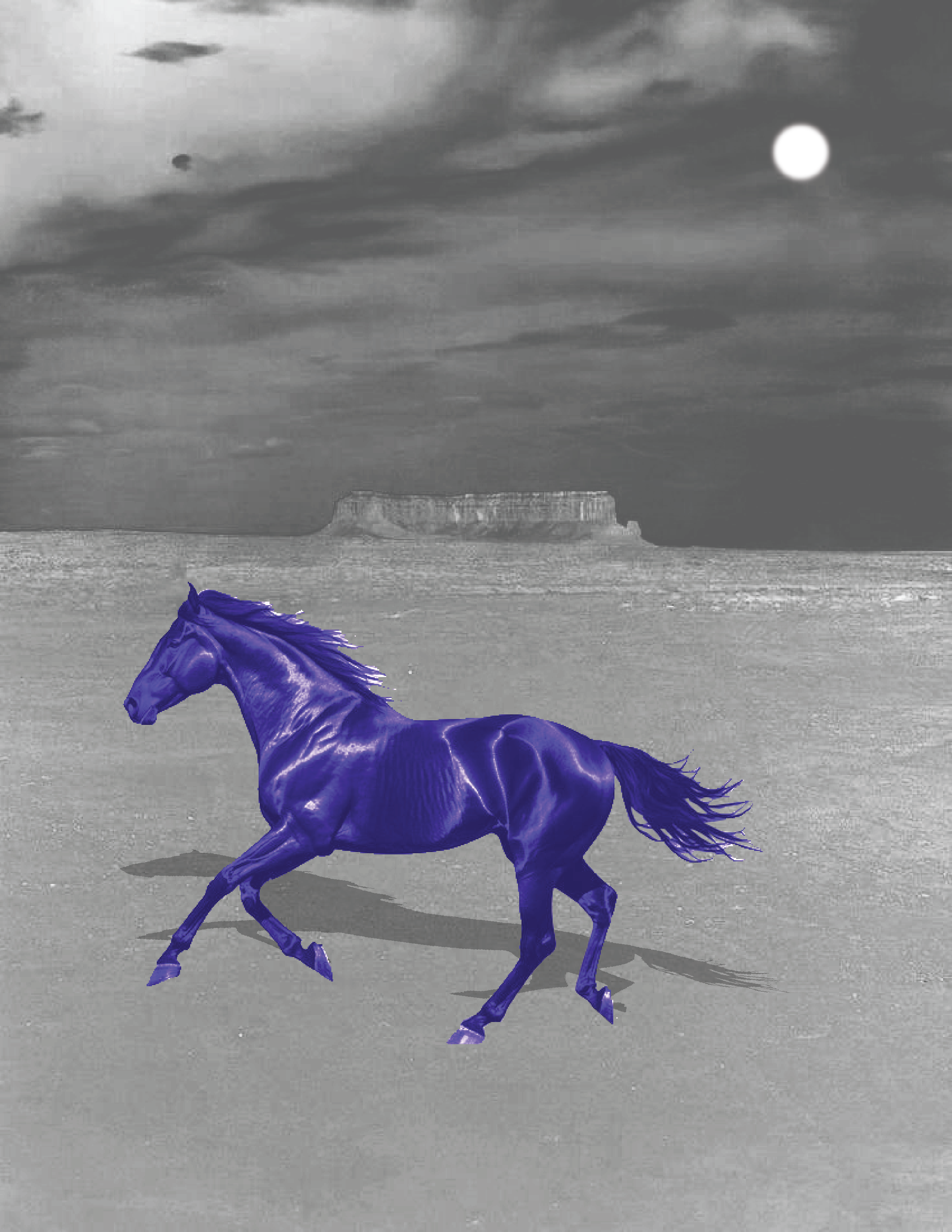 Rodeo post #399