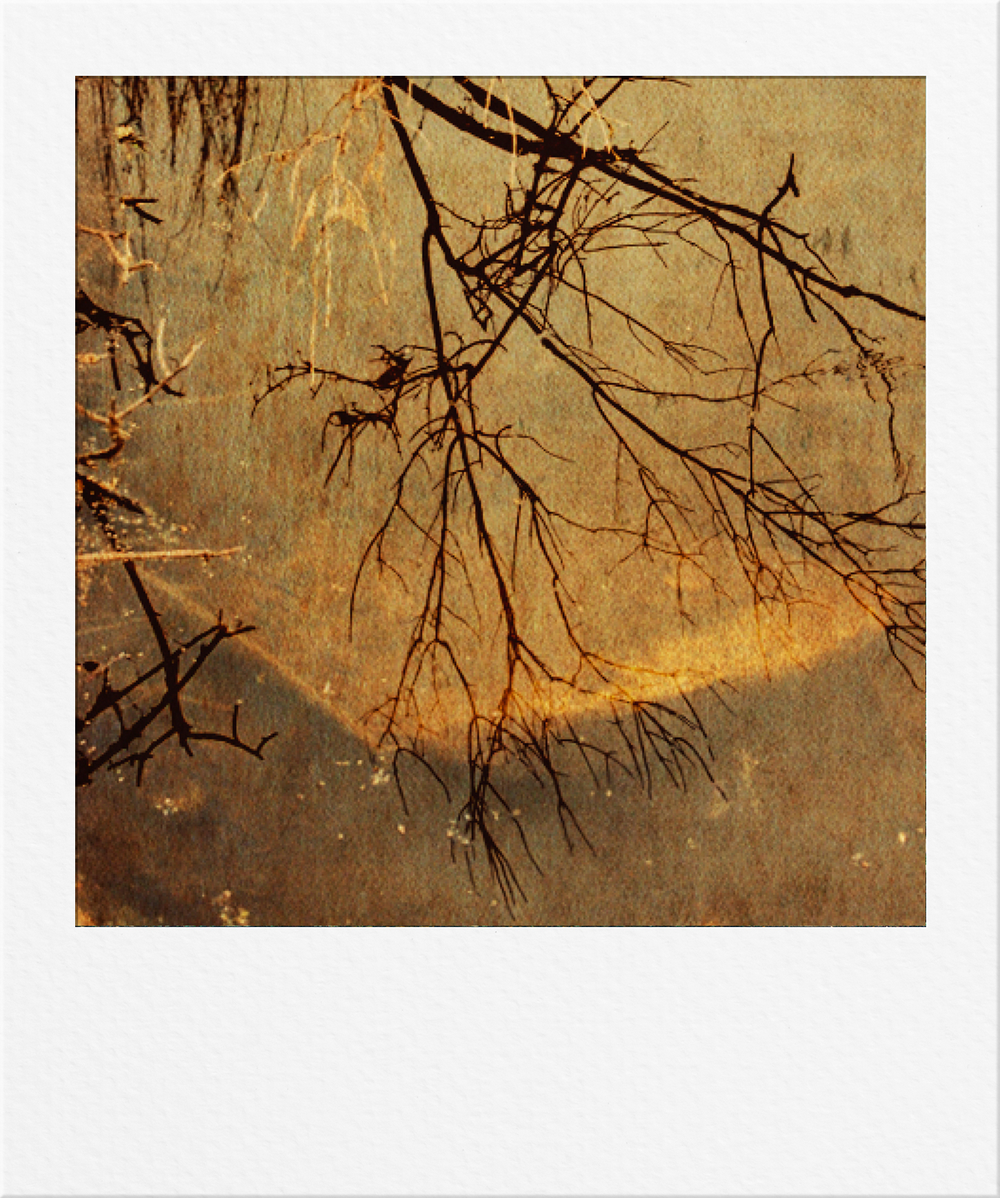 Deatils 011