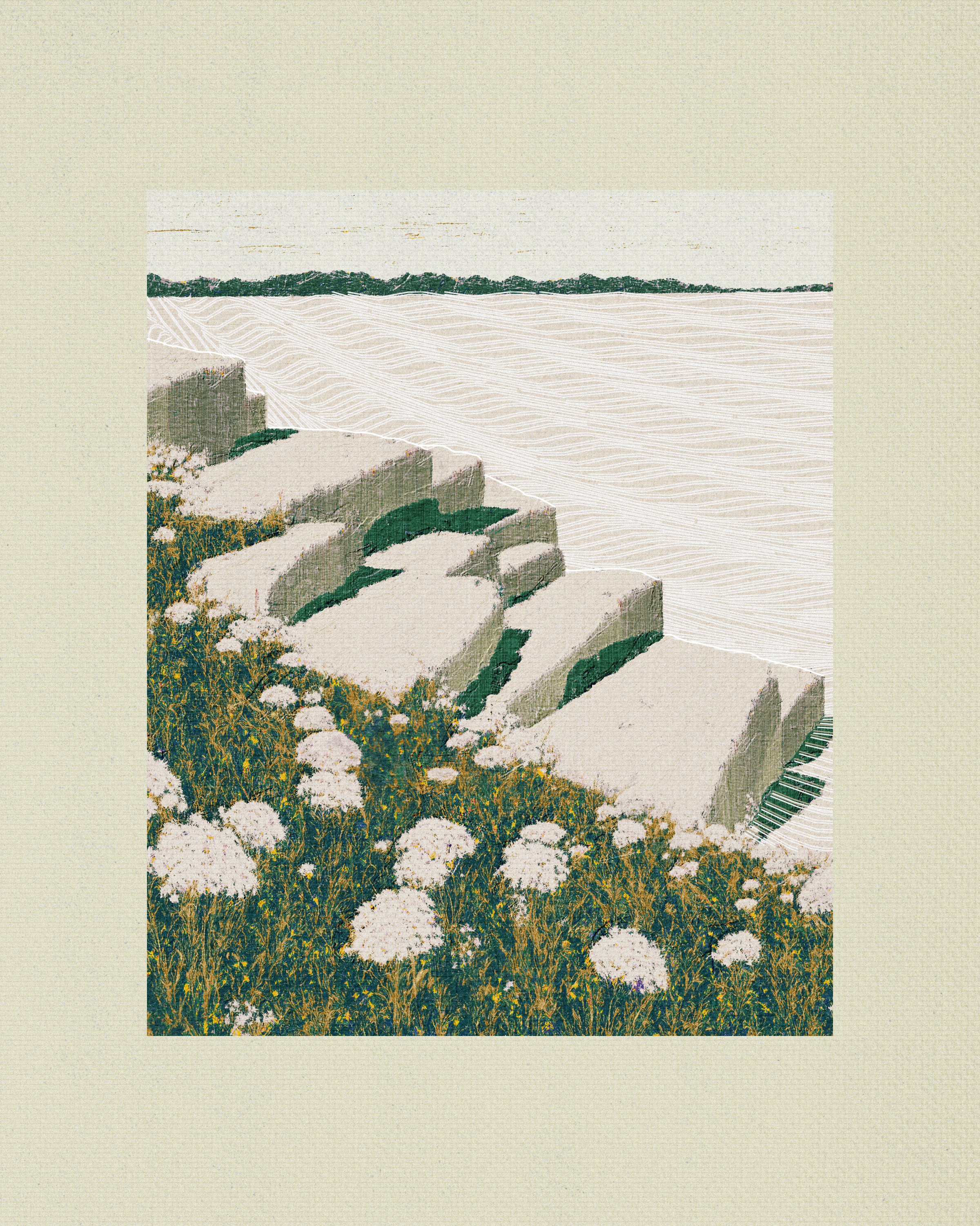 Coast #81