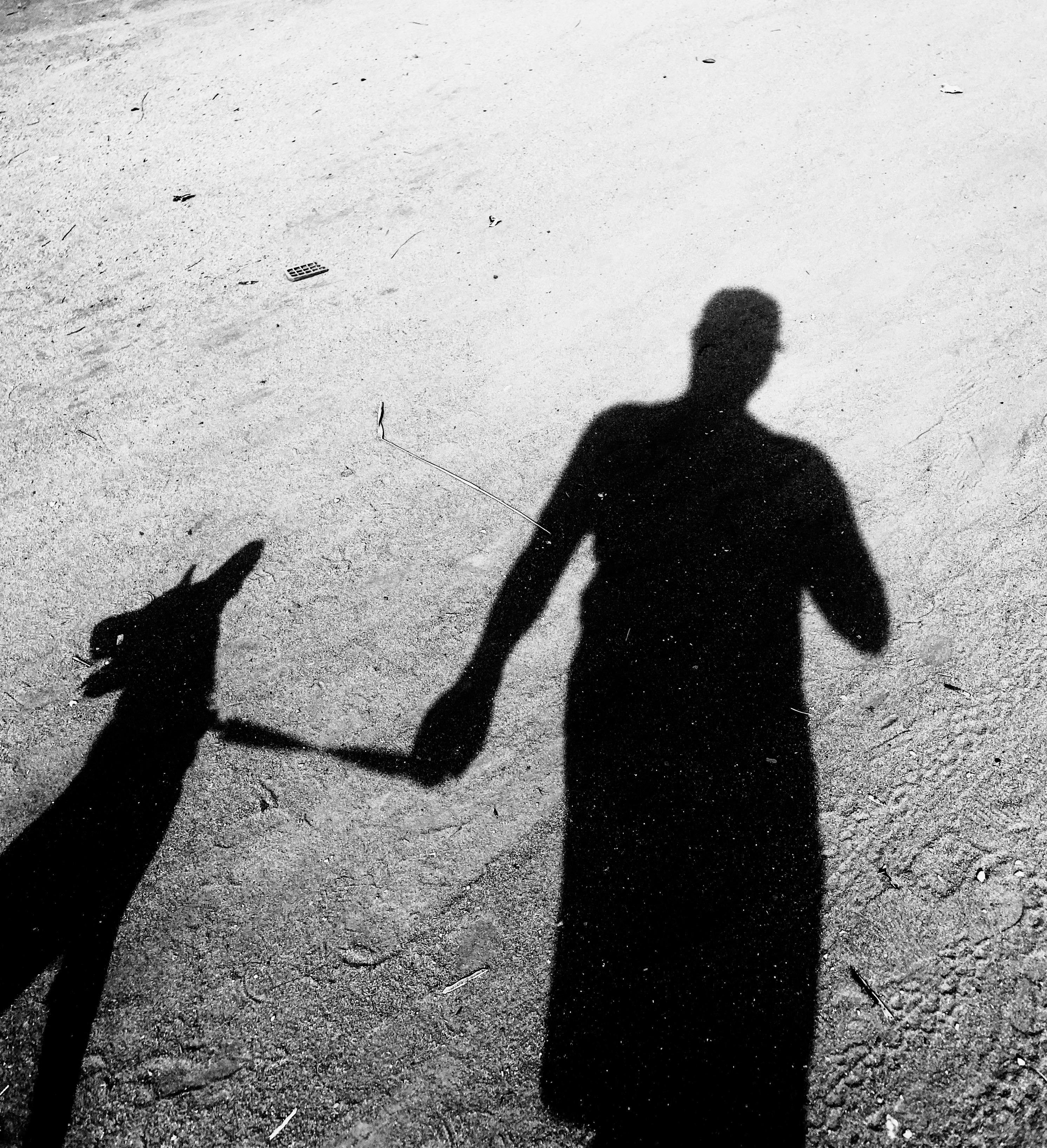 Shadow #3