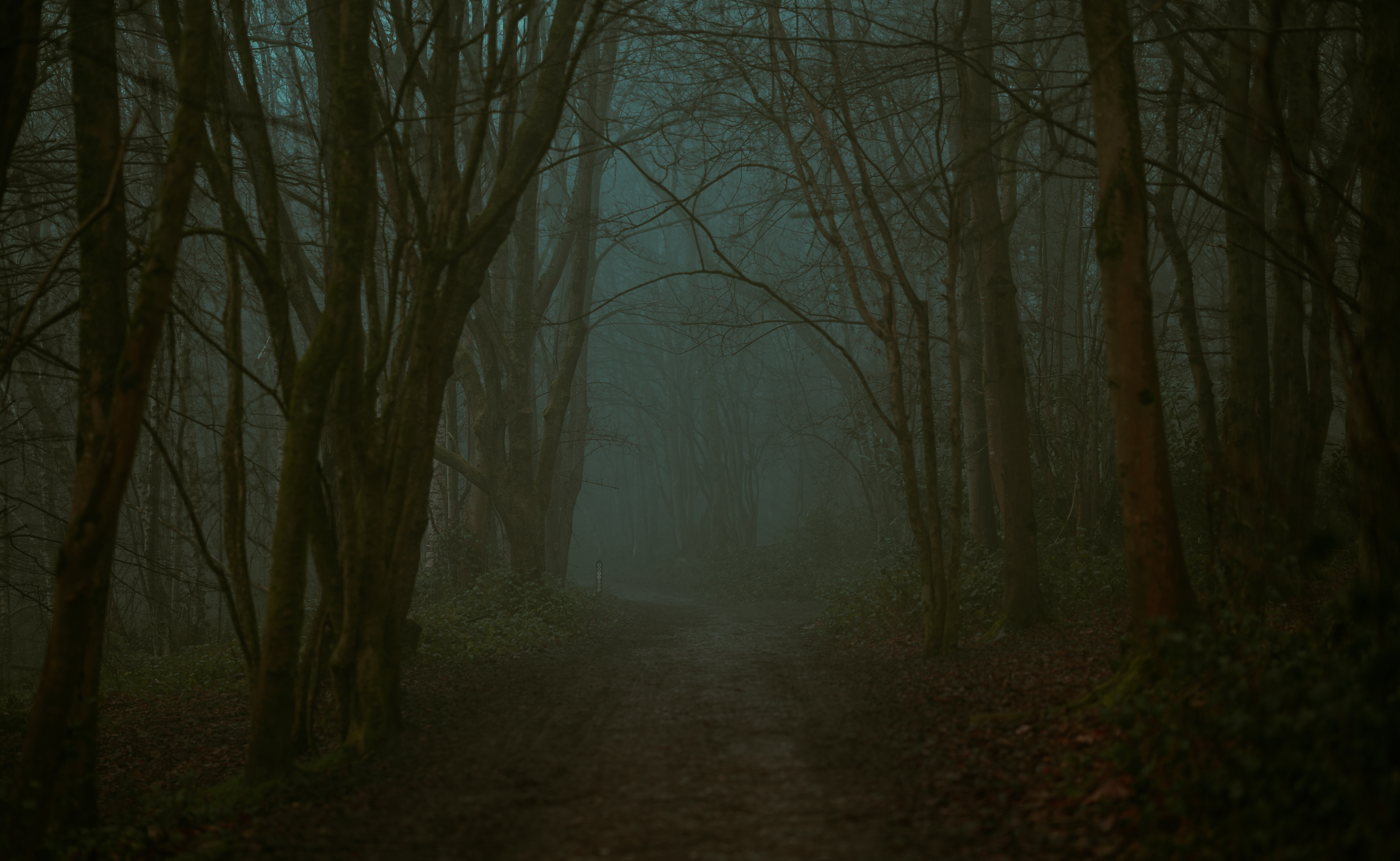 Haunted paths