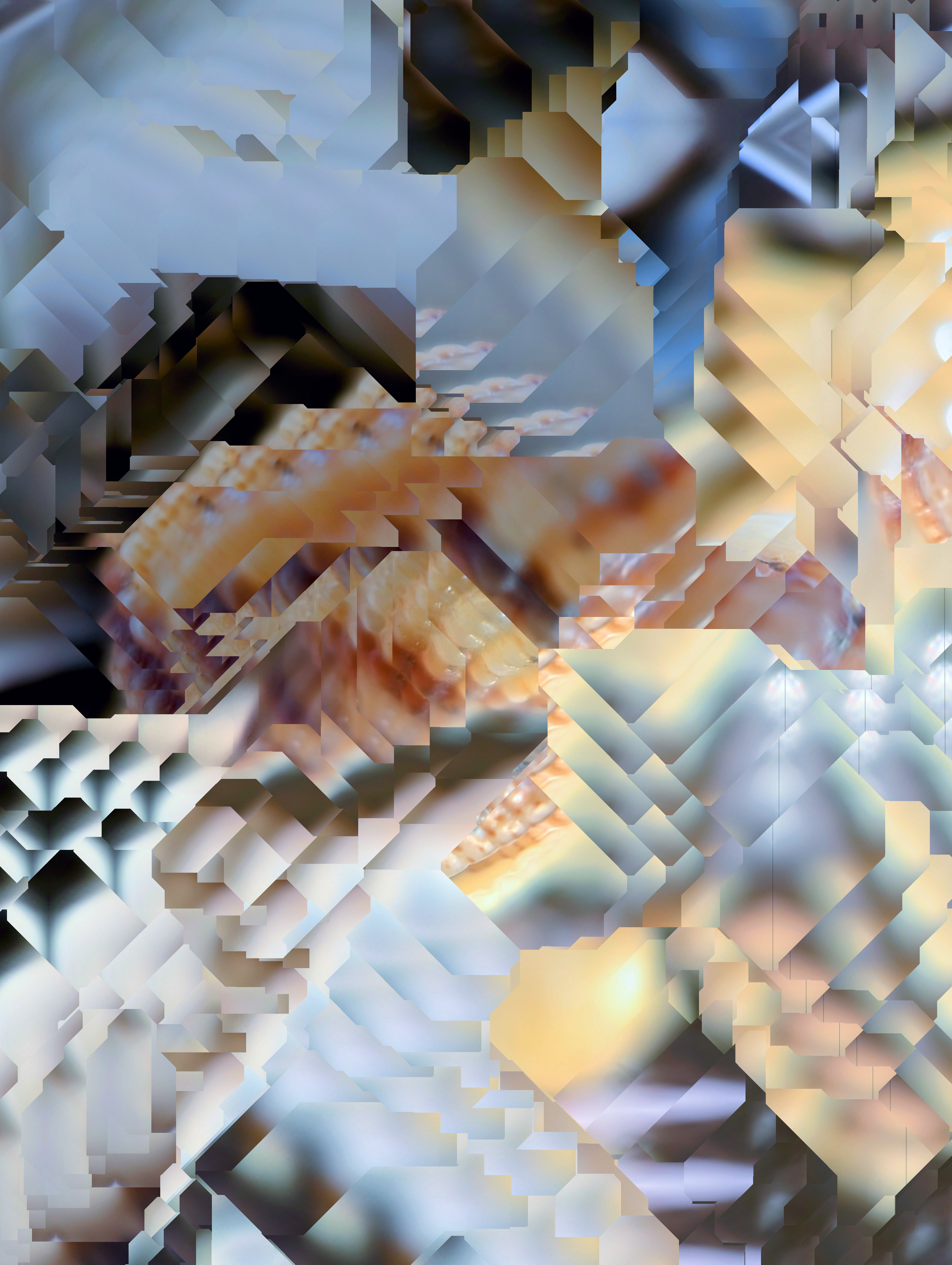 TWO.DISJUNCTION.06.24