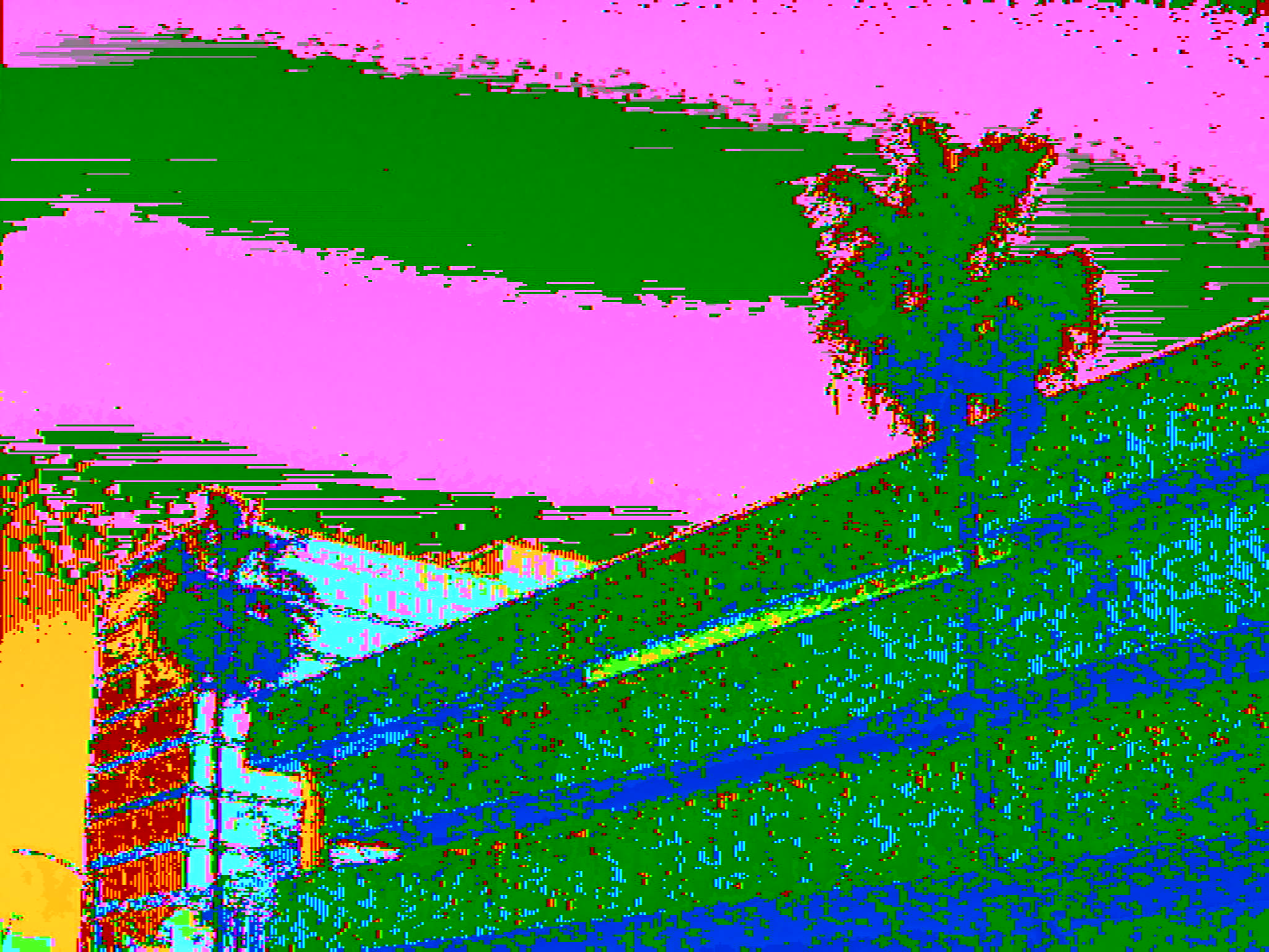 Twin Palms