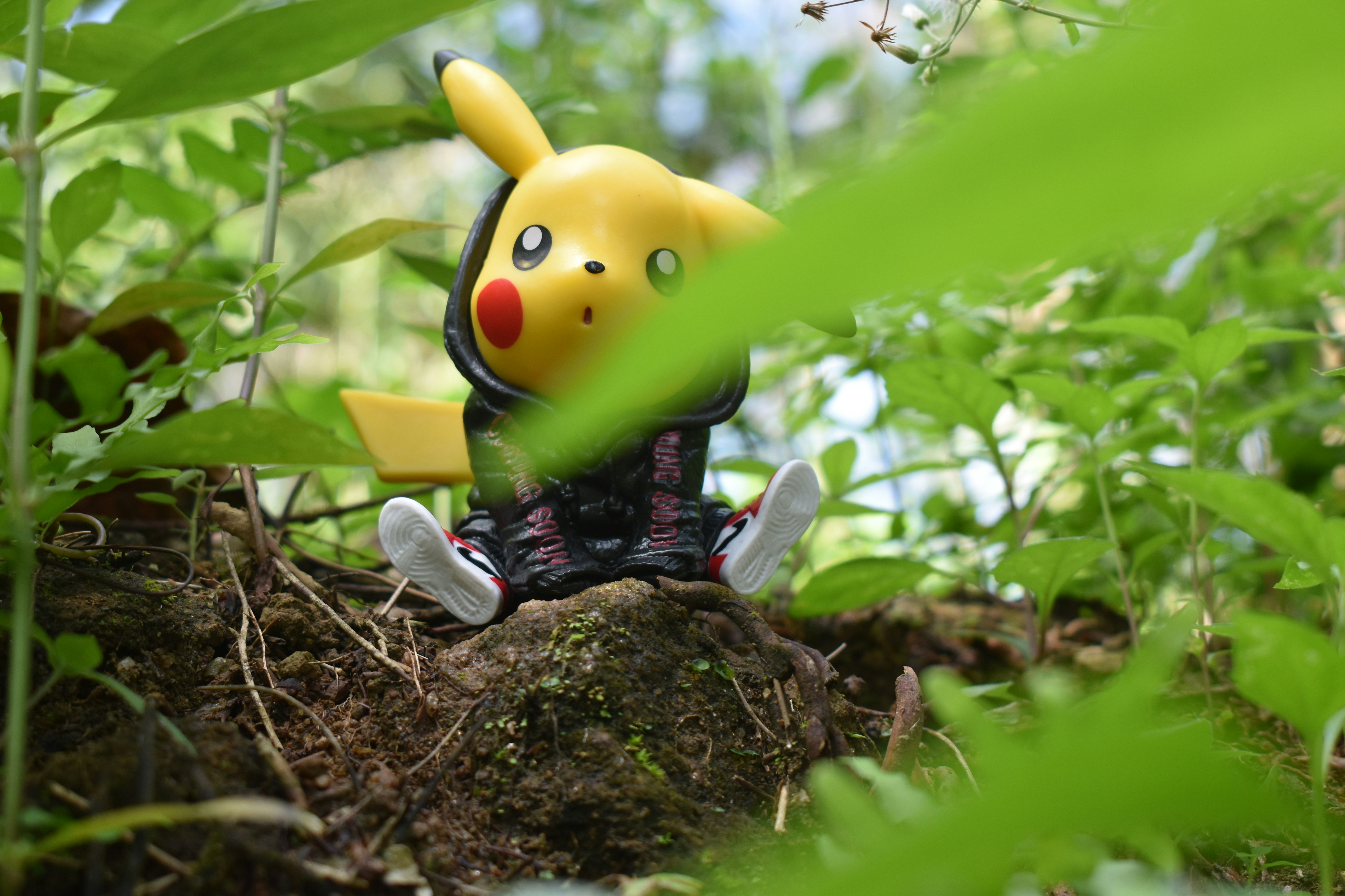 Forest Wanderer #7