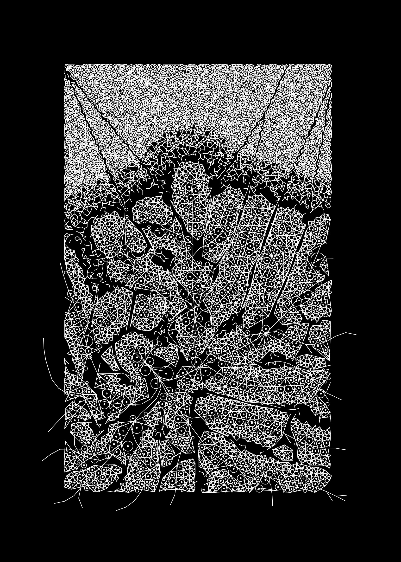 Network Study WIP VI
