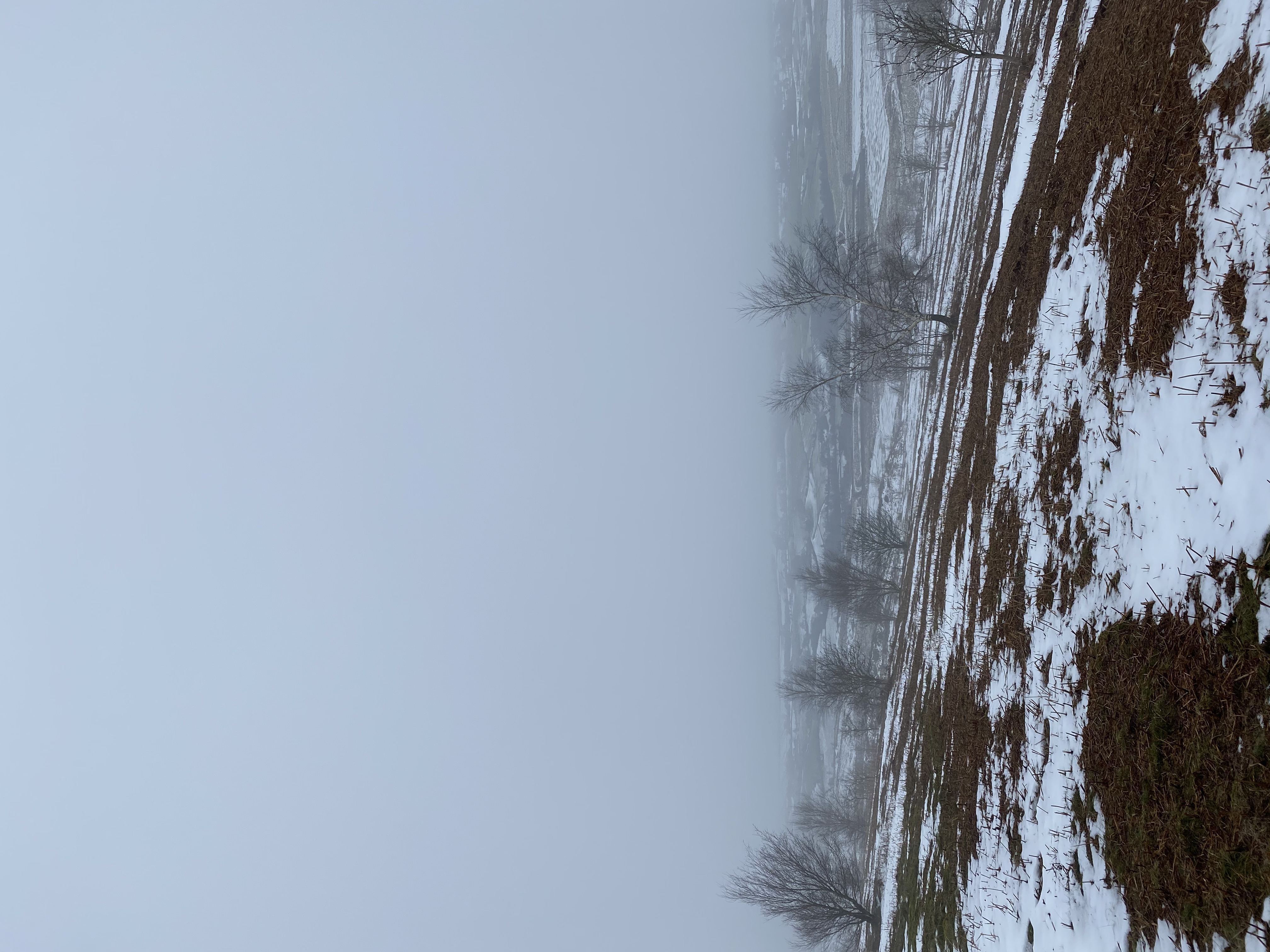 coming down