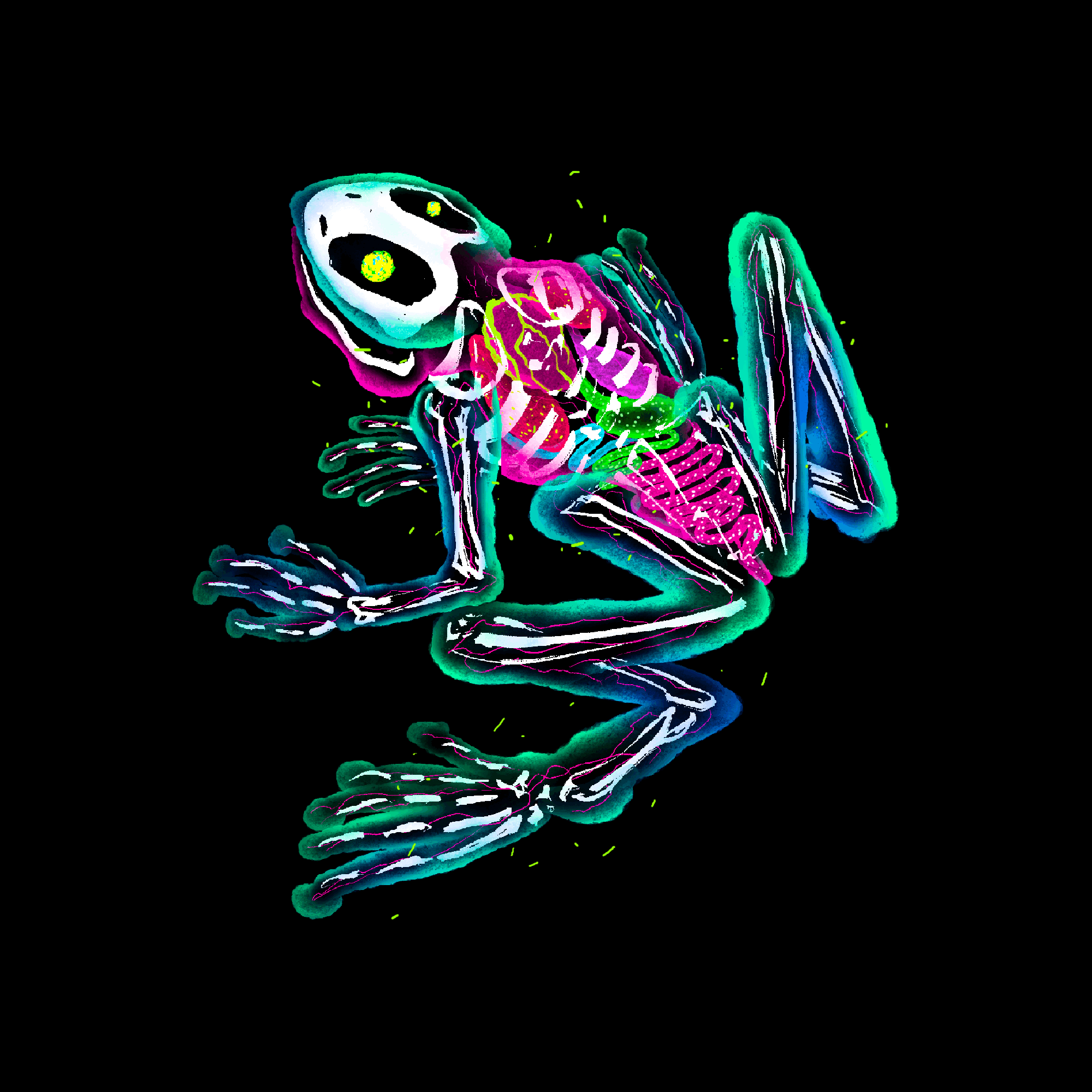 Riverday Frog