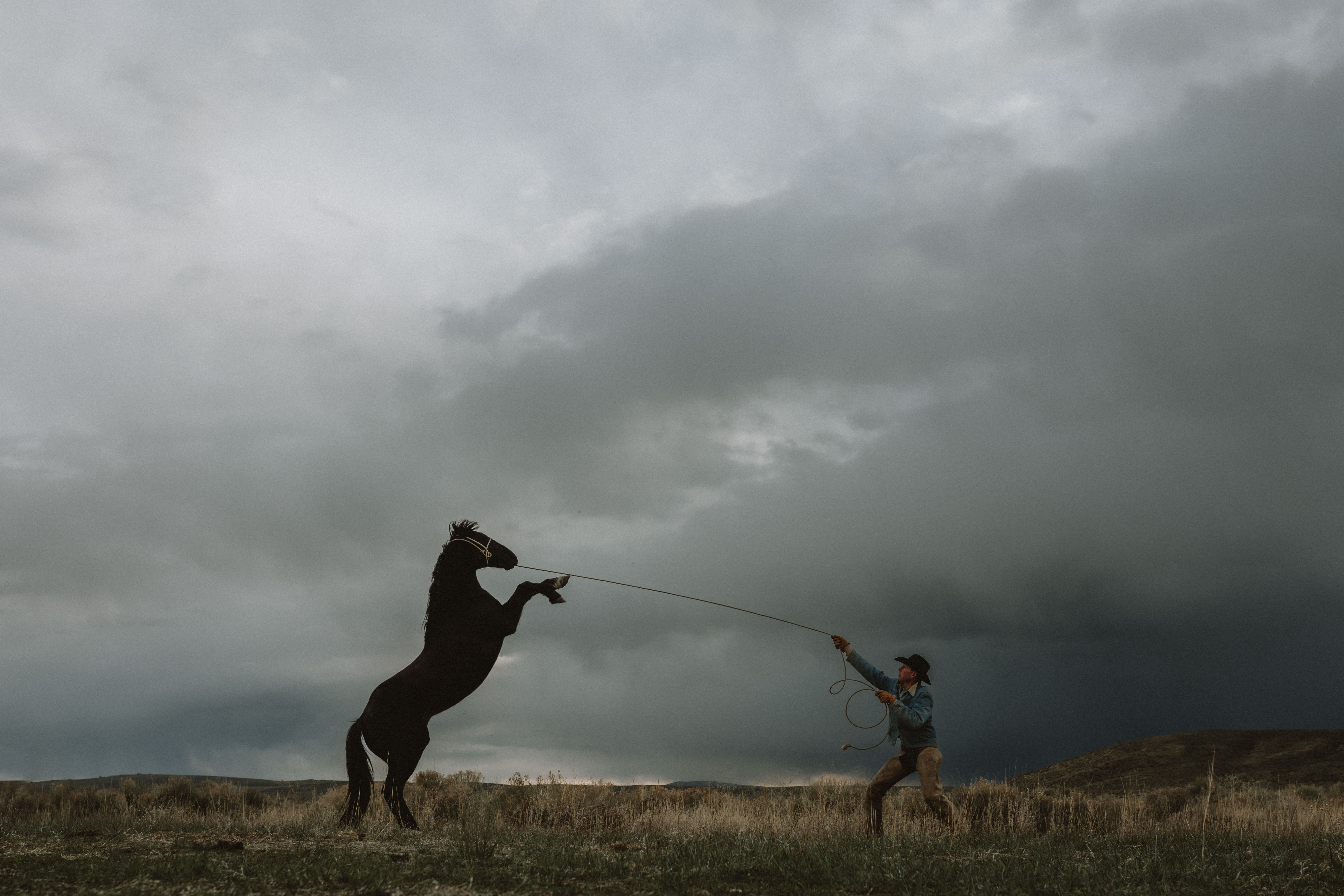 Django, Up