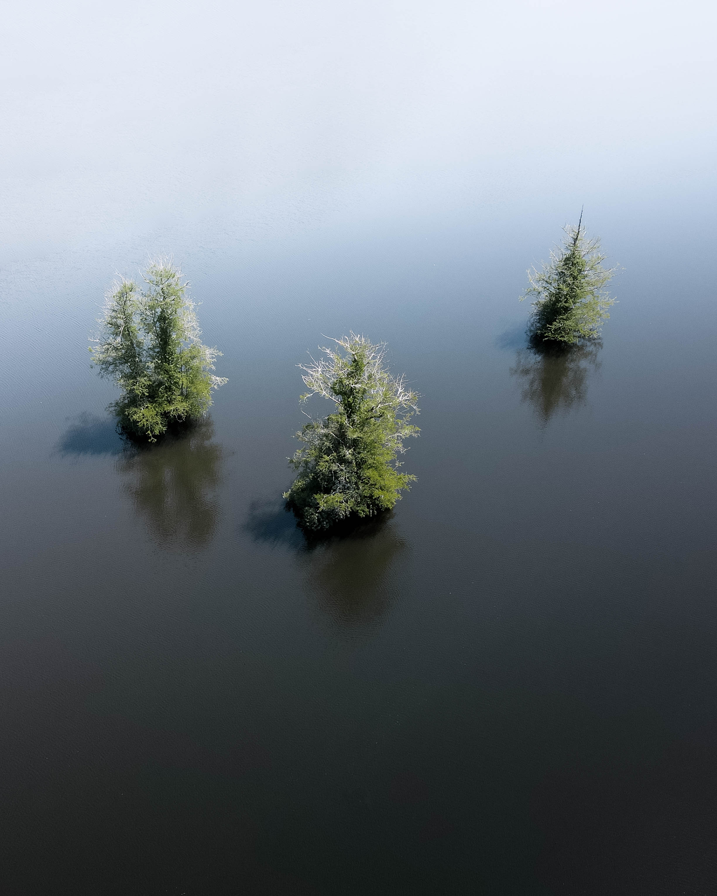 Trio of Tranquility