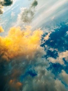 #191