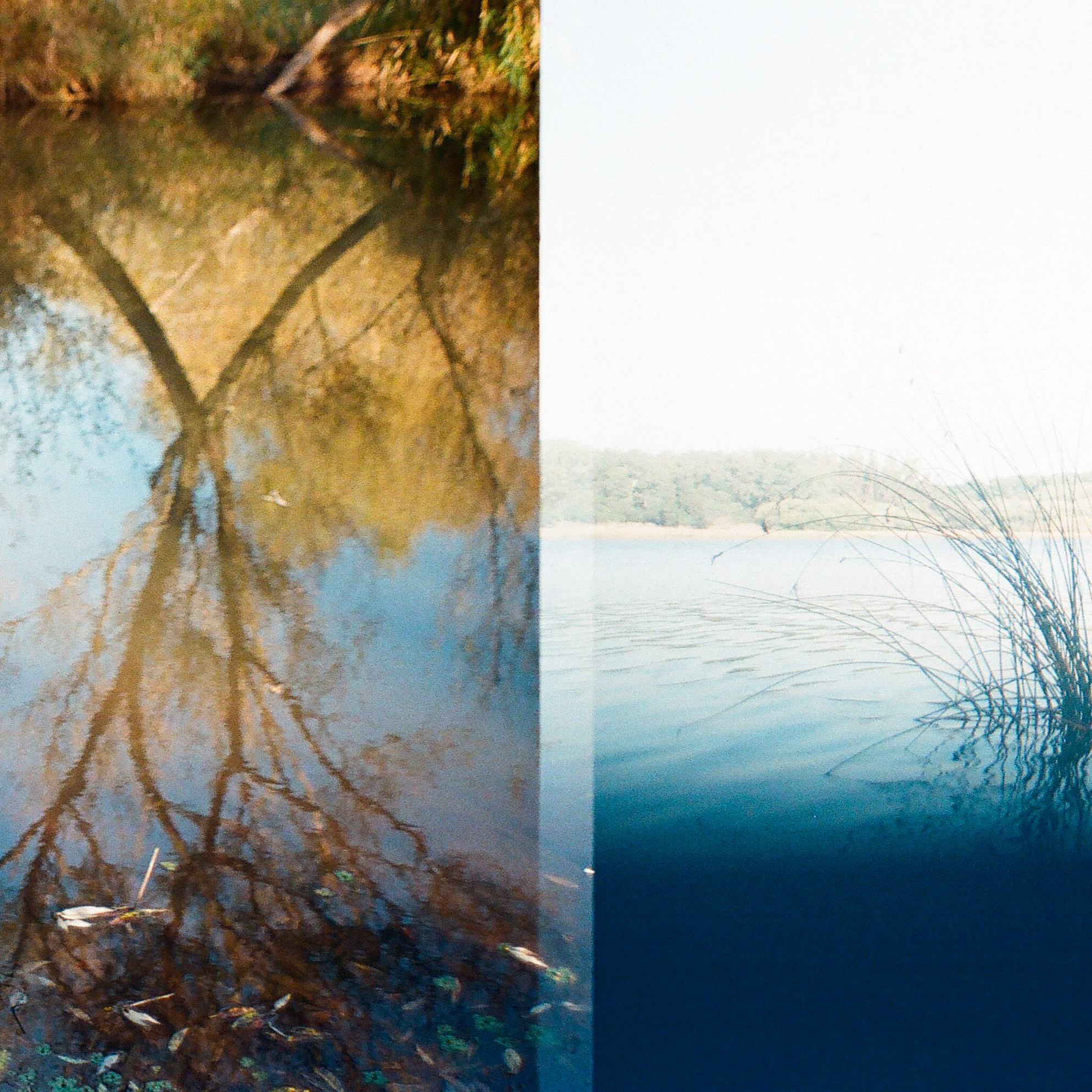 film_error2