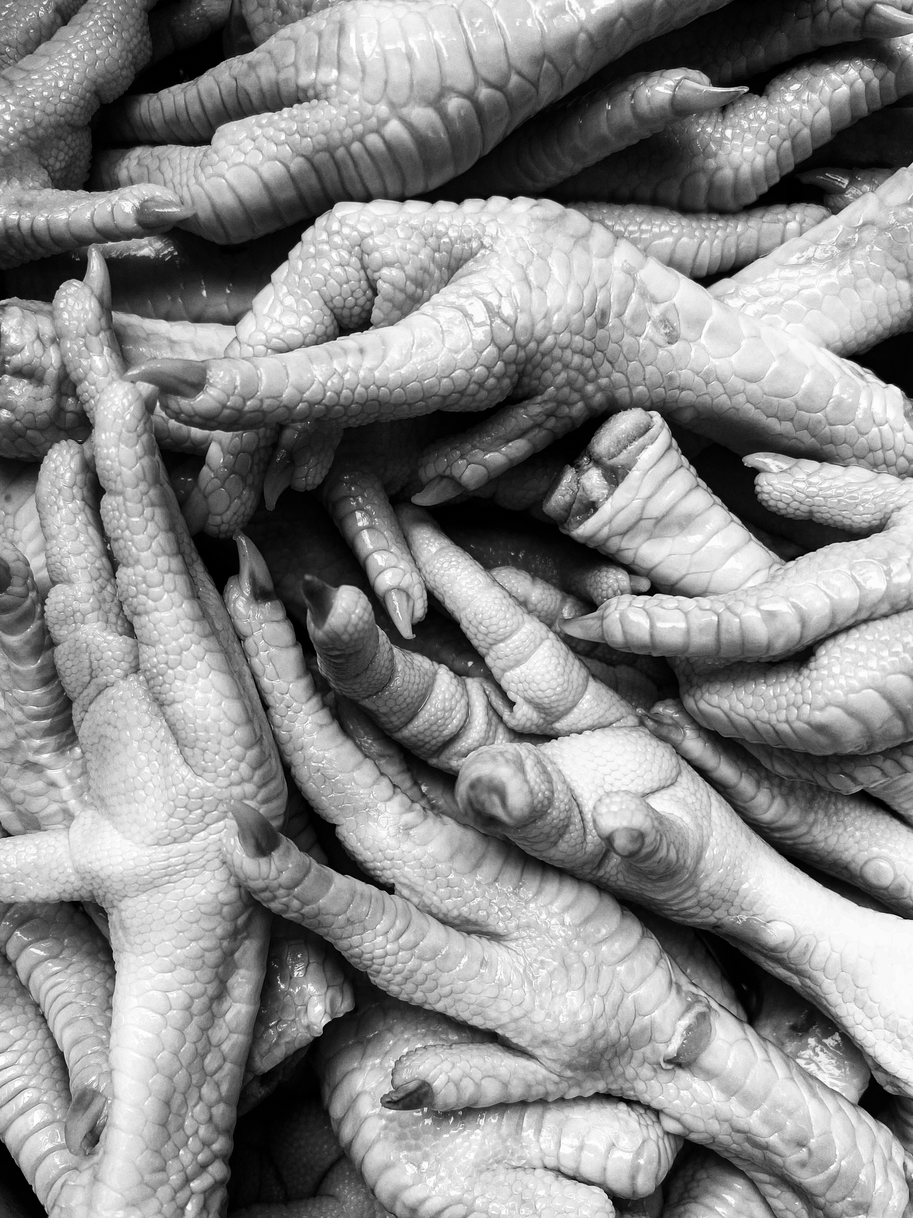 Chicken Feet: 35 cents each