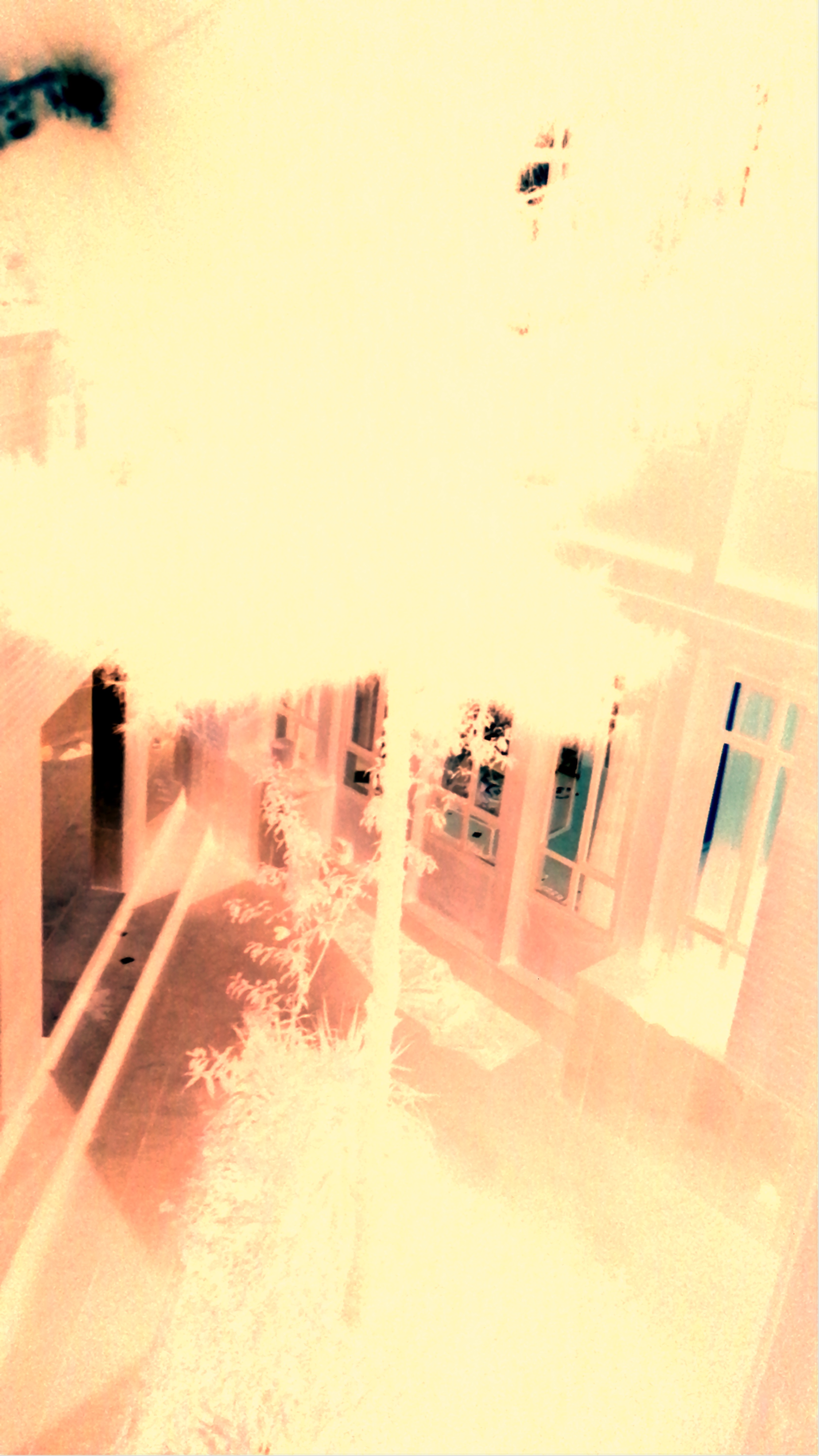 Tree, Autonomint X PIP.