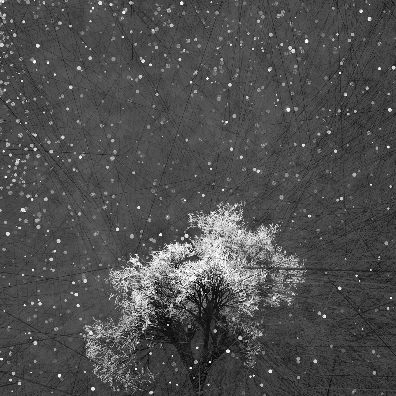First nightly snowfall of the New Year