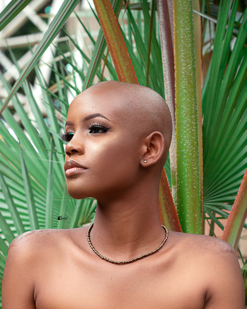 African Queen #19