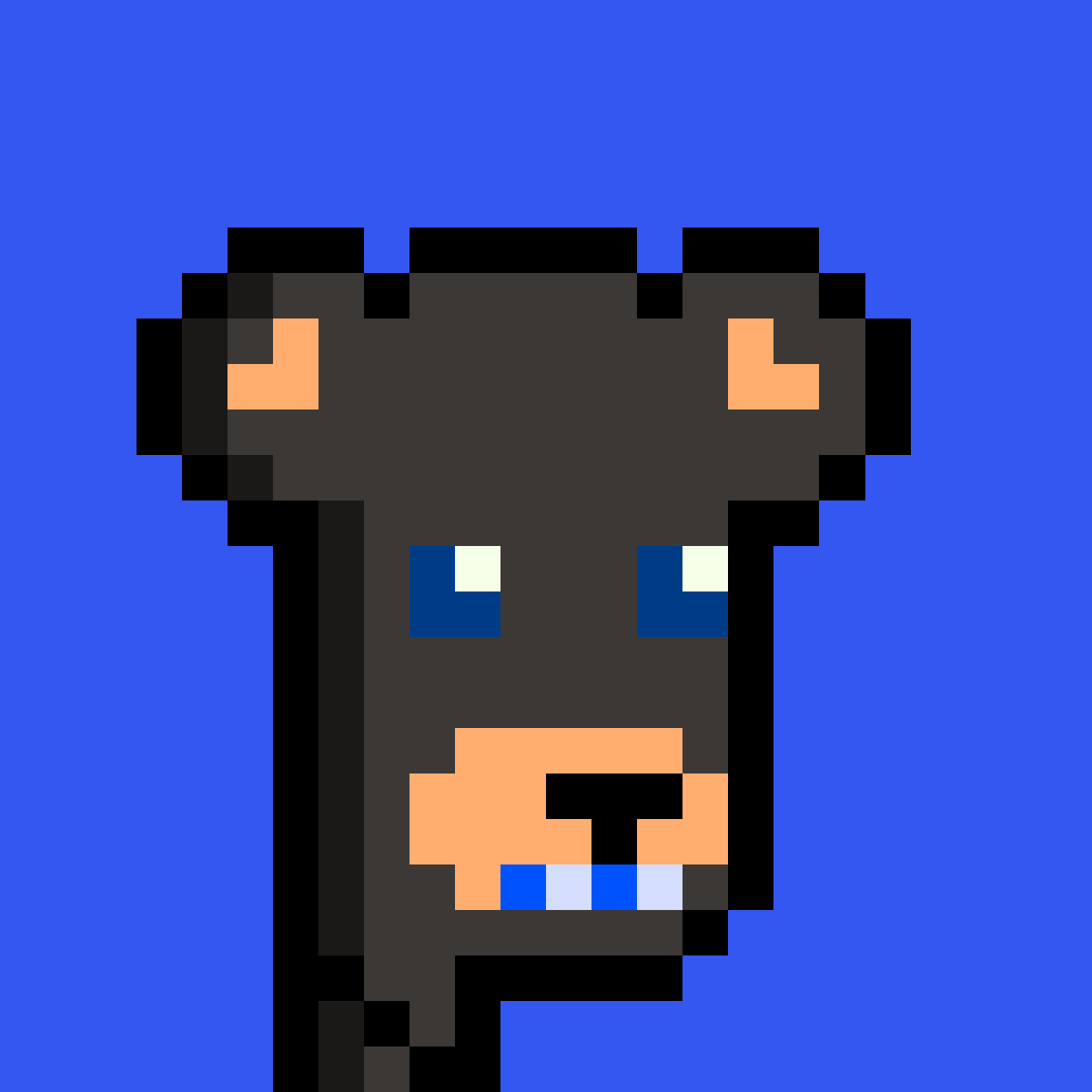 BearPunks #5060