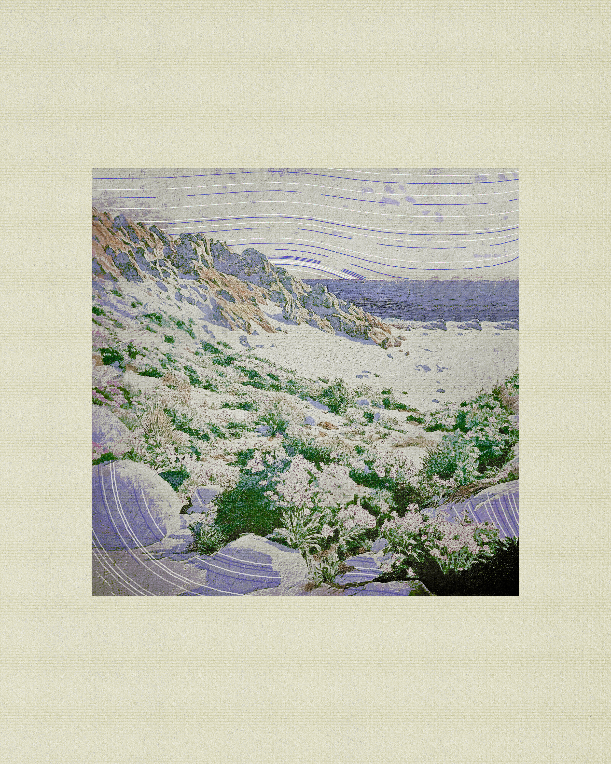 Coast #95