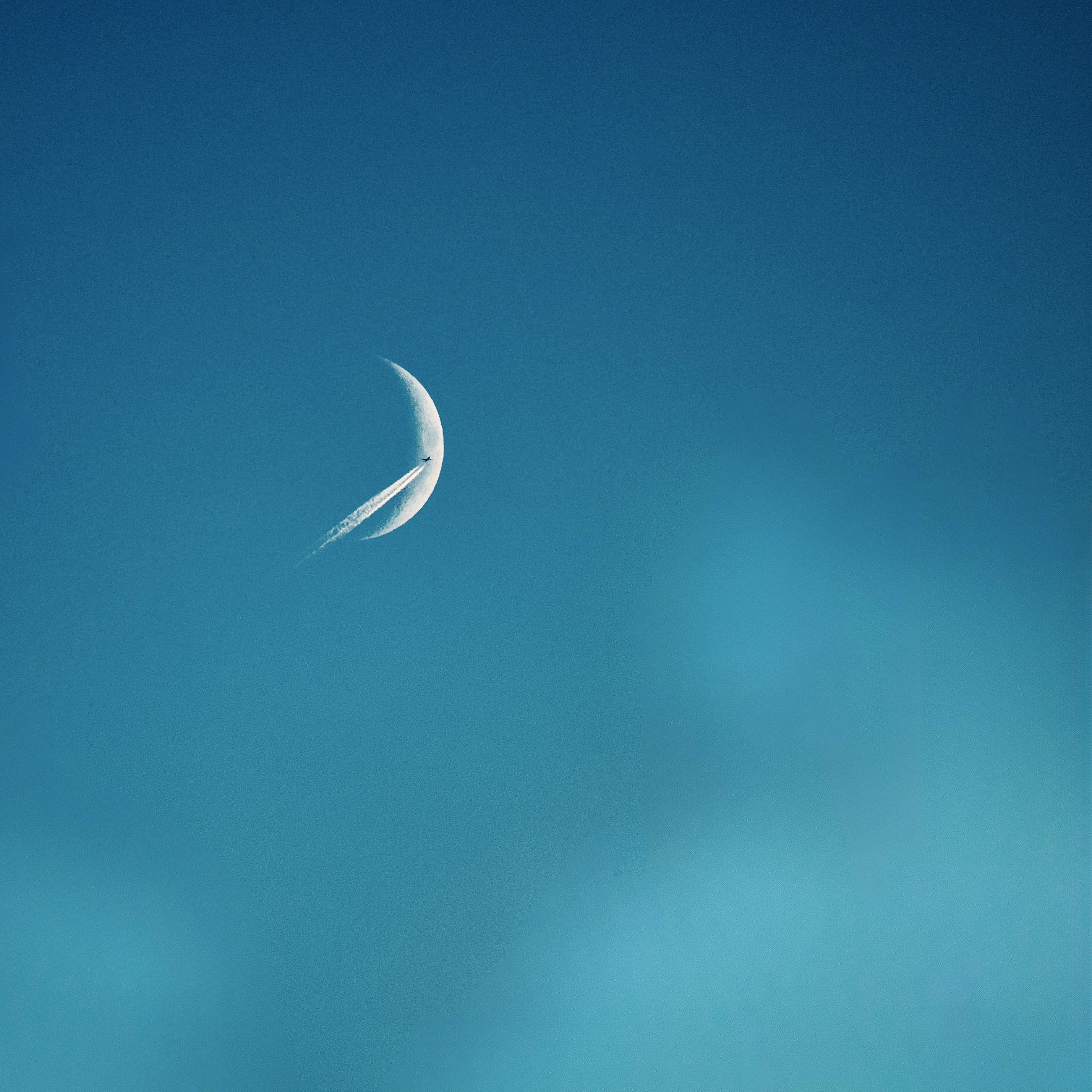 Into the Blue #541