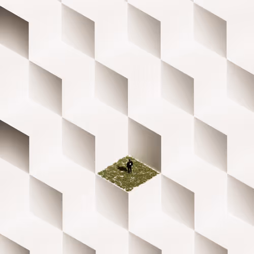 THE DIAMOND IN THE ROUGH
