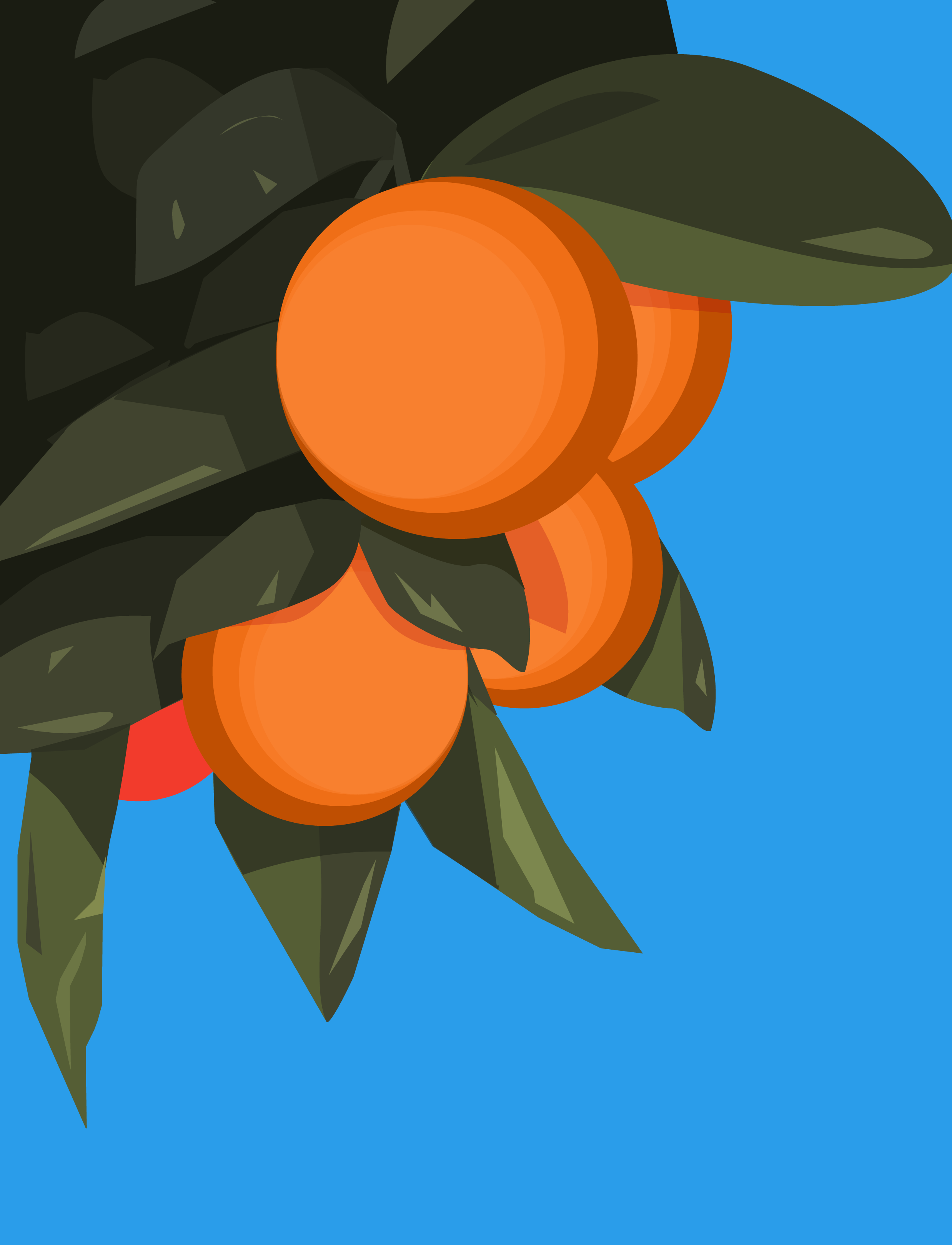 Orange