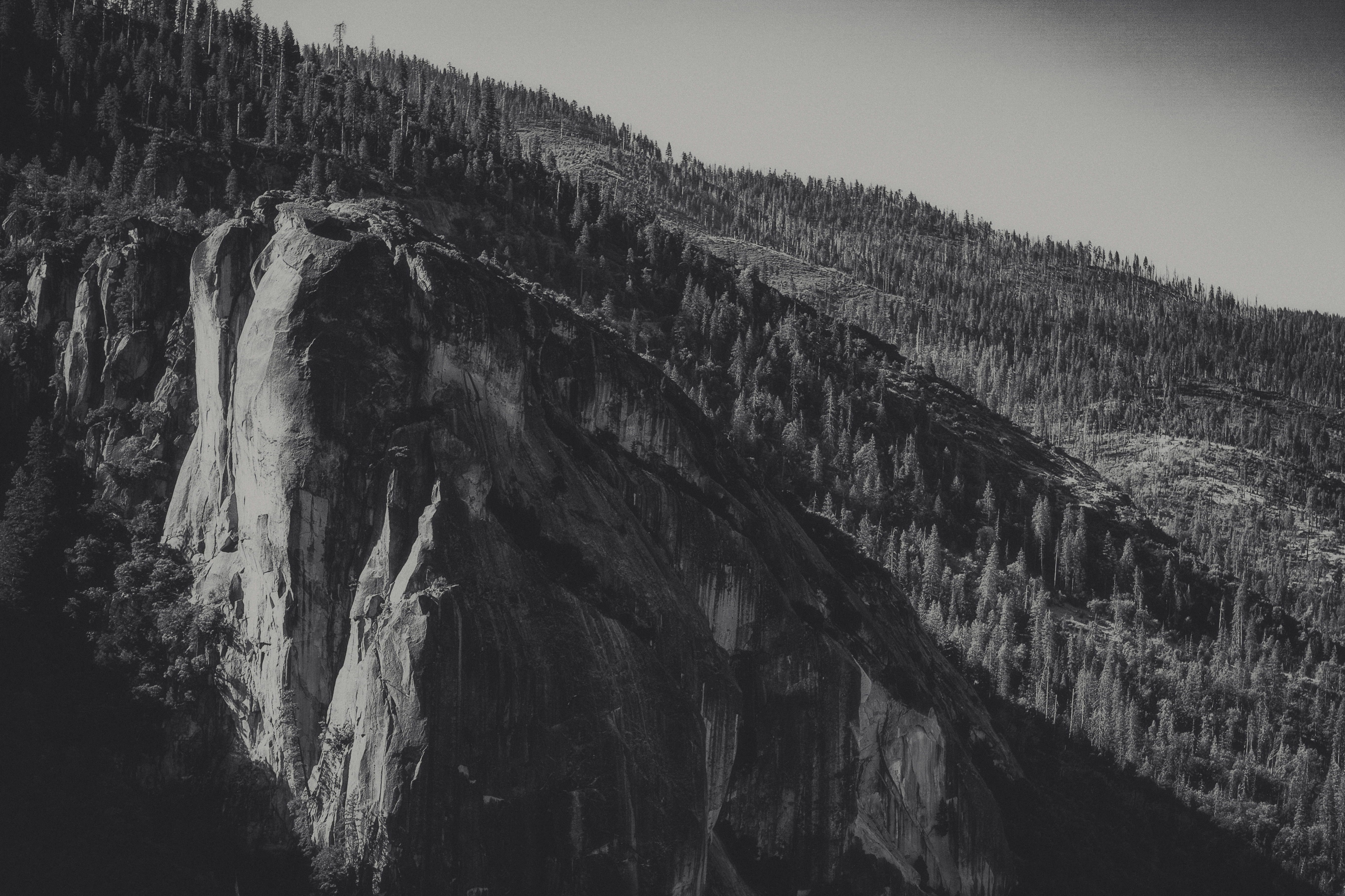Yosemite in BnW 5