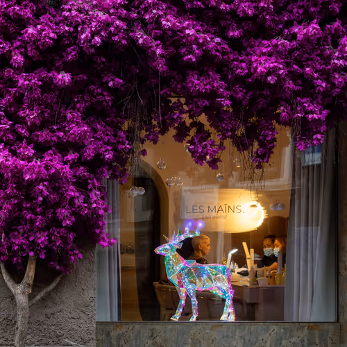 Do you love purple ?