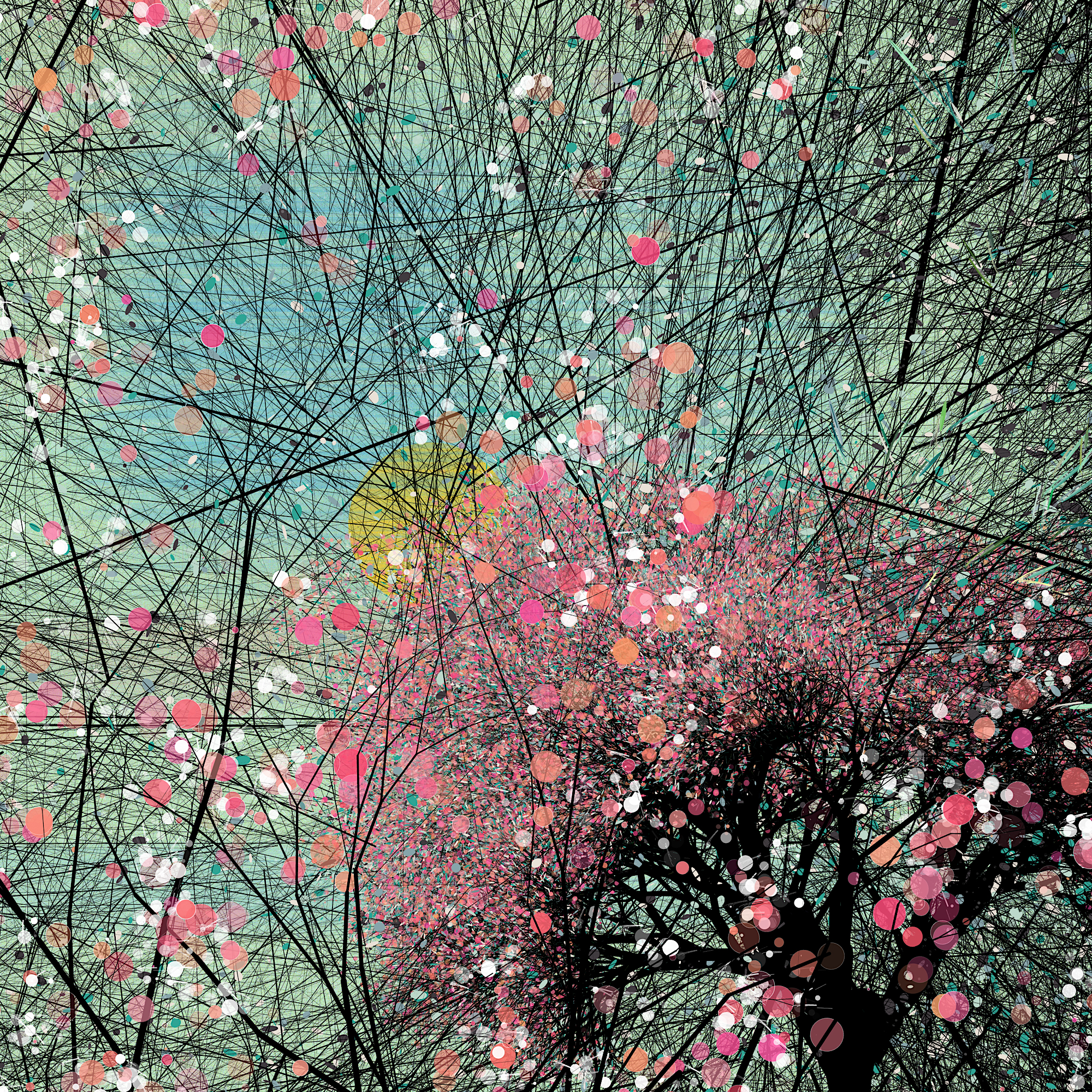 conversation with the wind