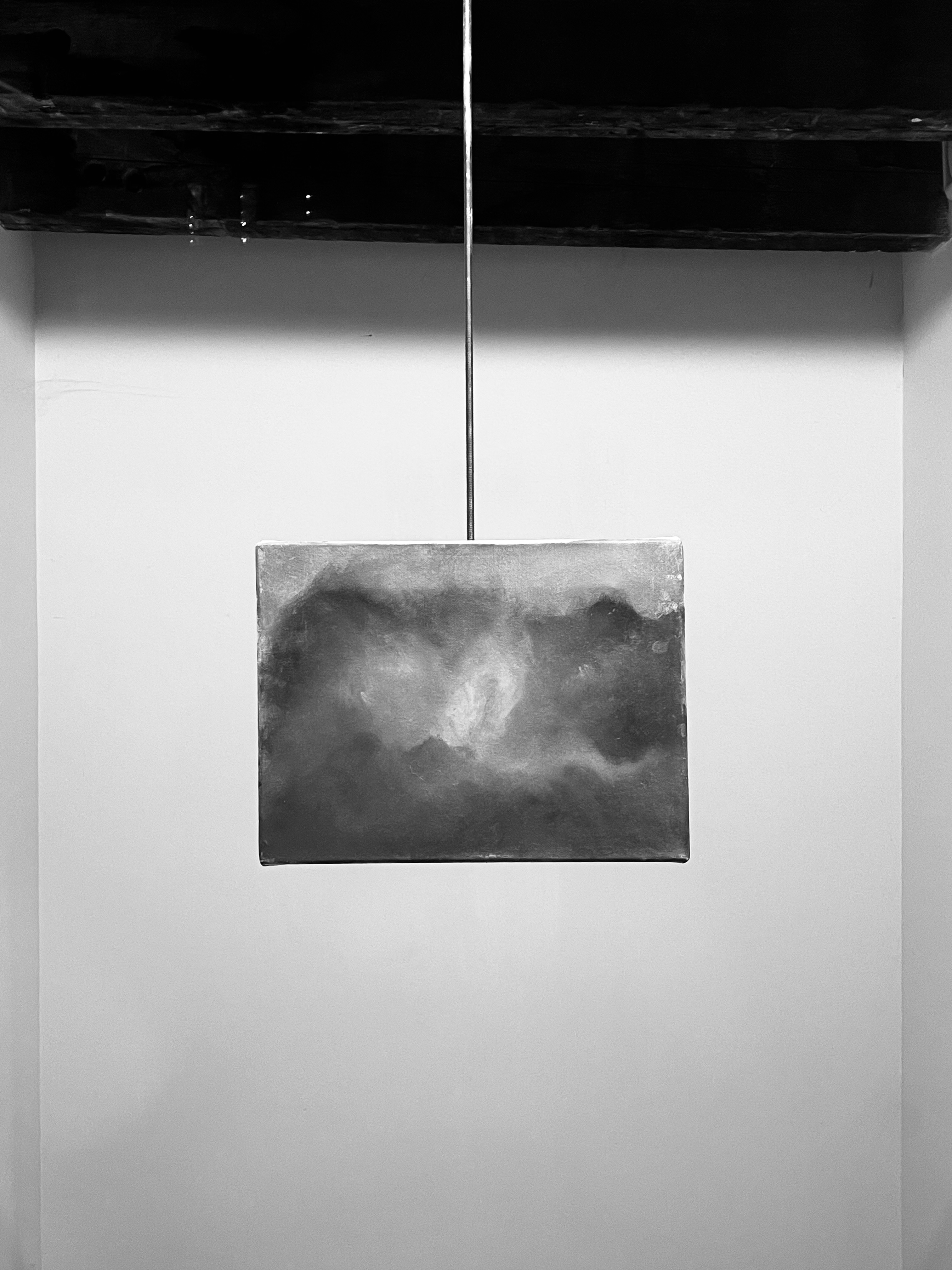The Streak Project