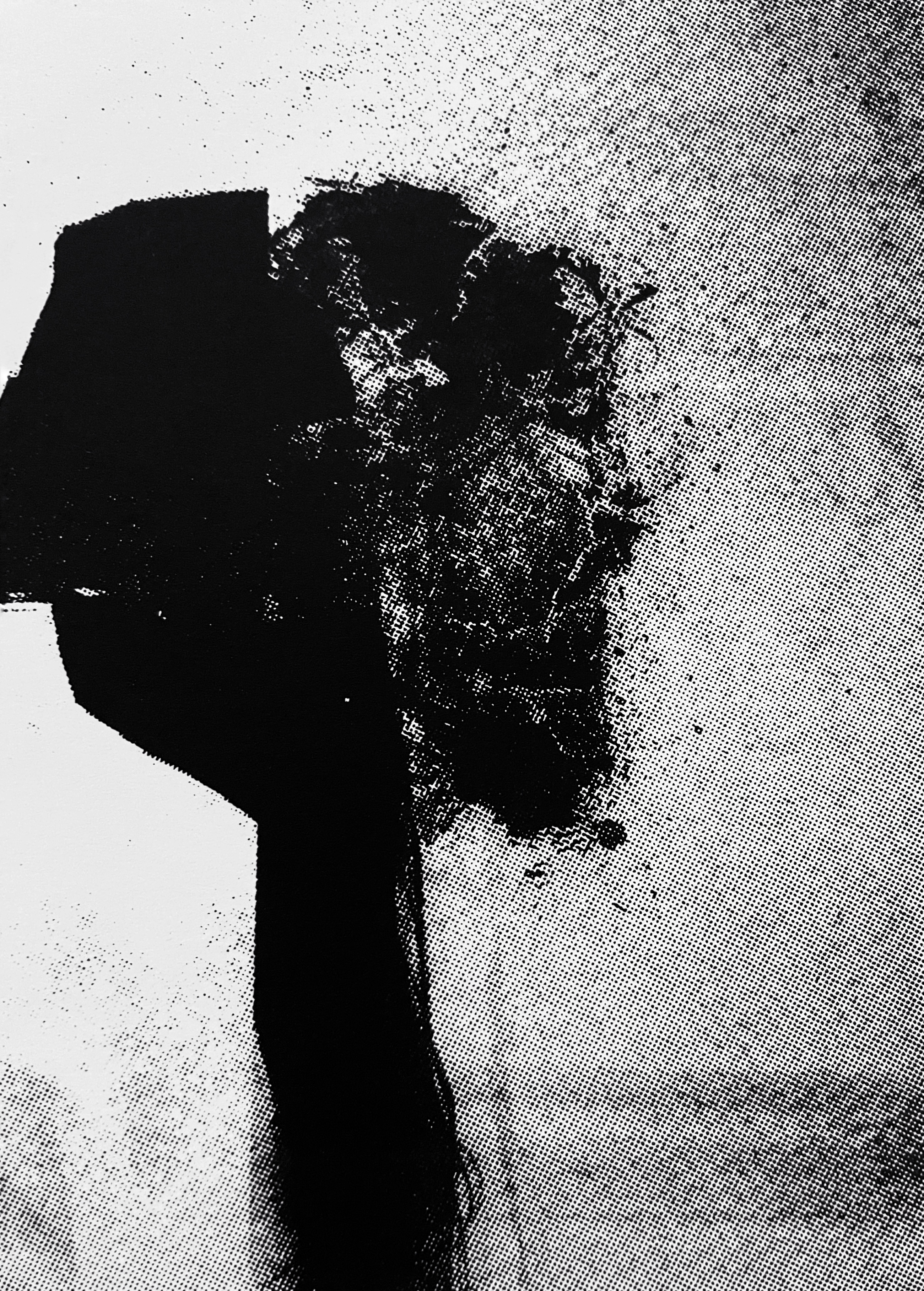 scrnprnt_dtl_009