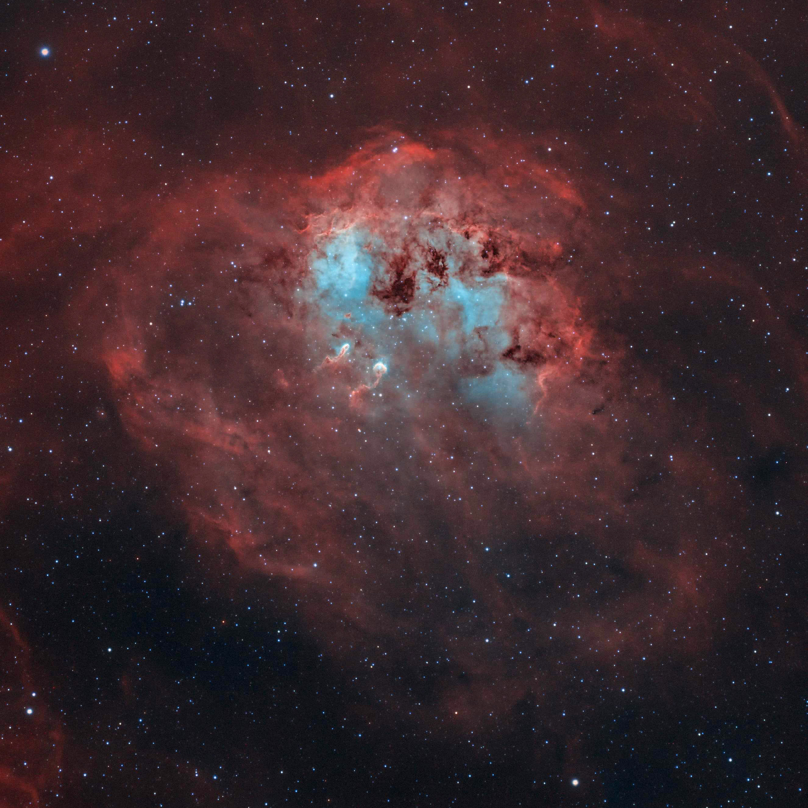 Tadpoles Nebula