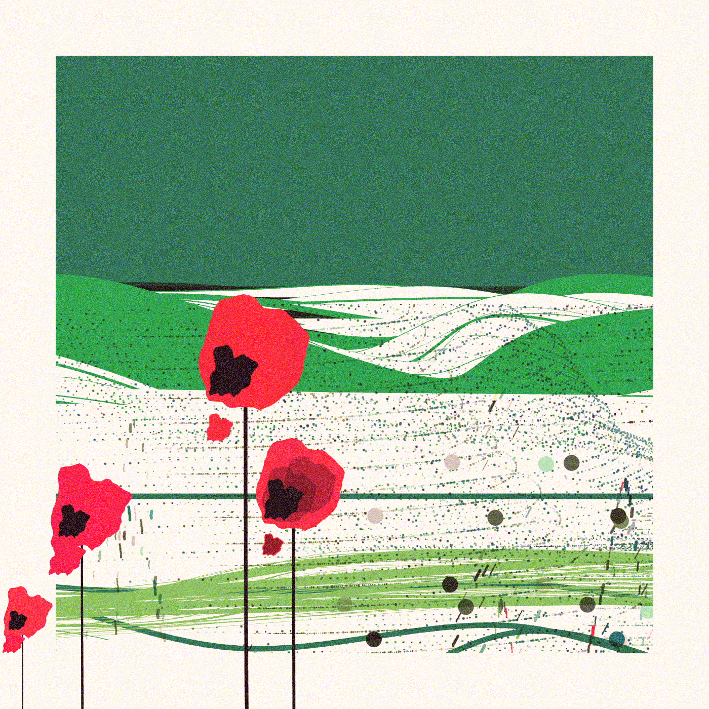 Poppies of Normandy