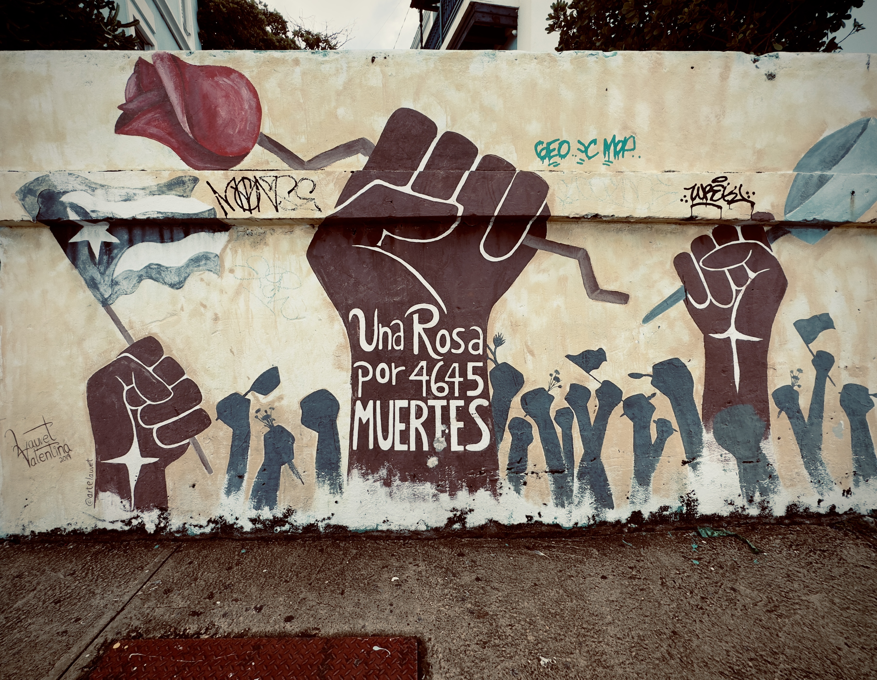 una rosa 🌹