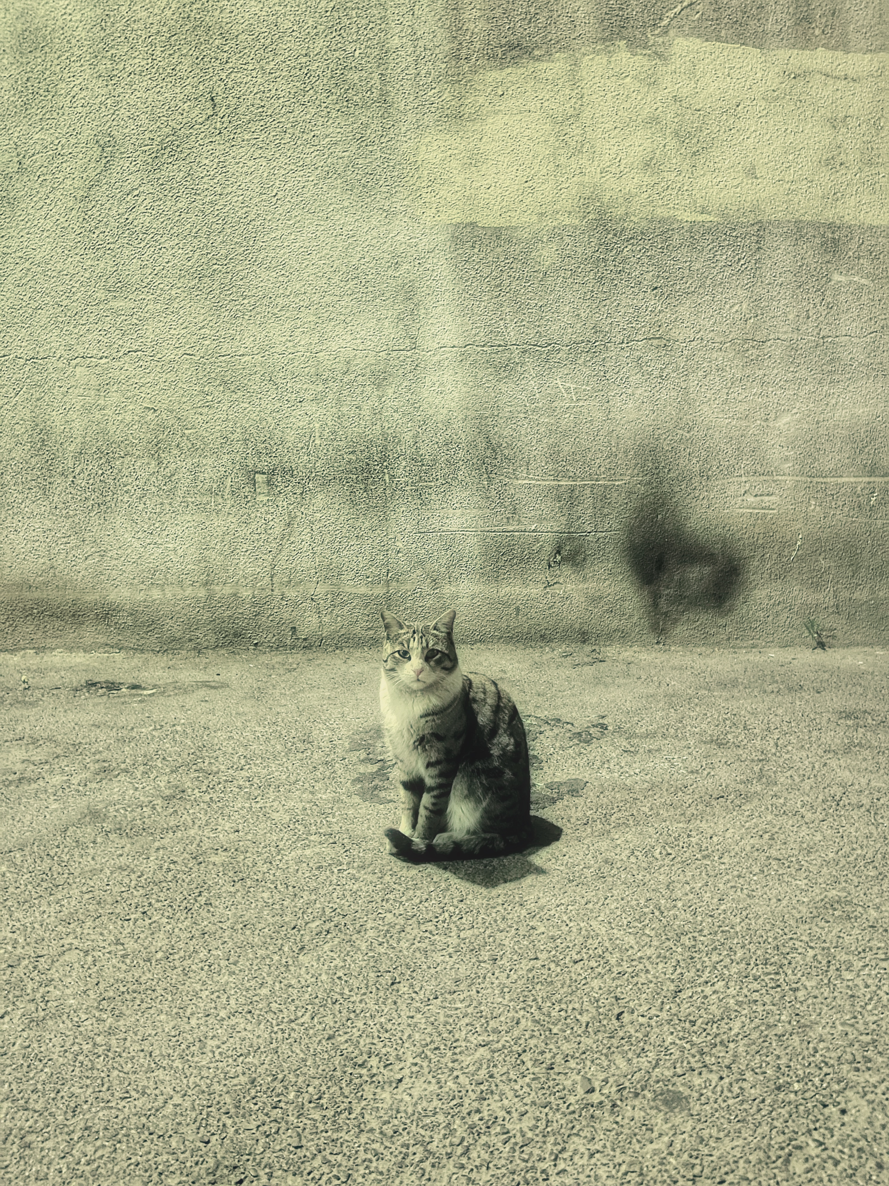 Solitude in Sepia #35
