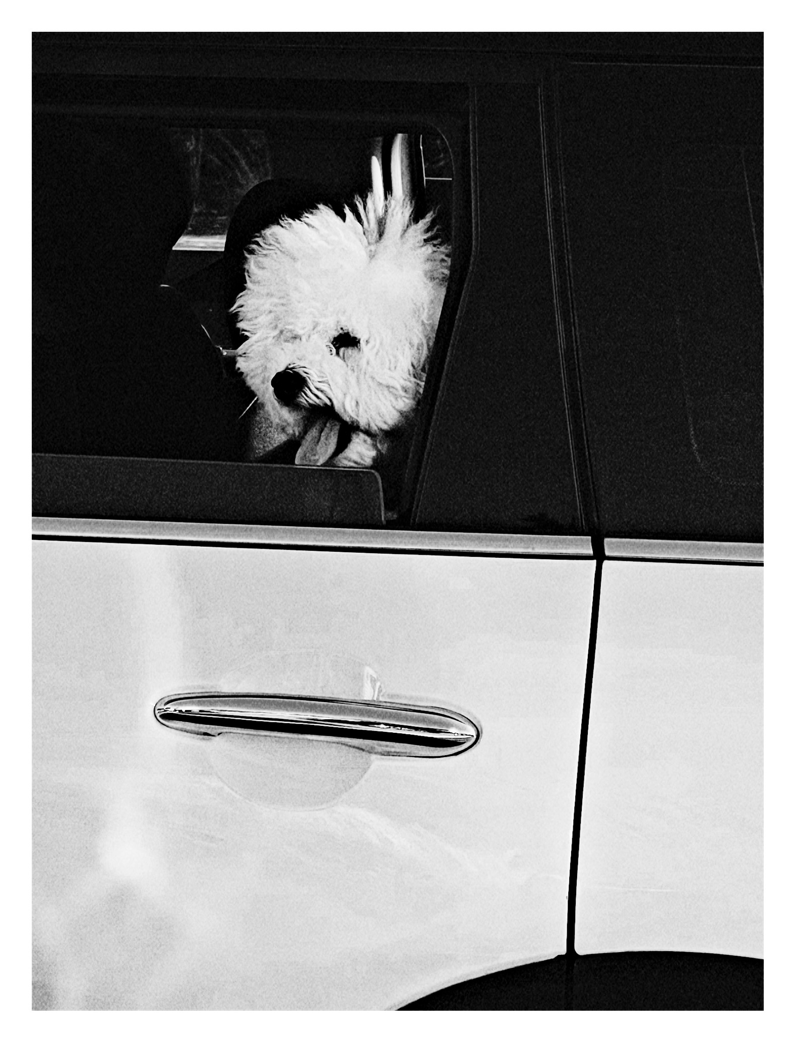 Banalography #041