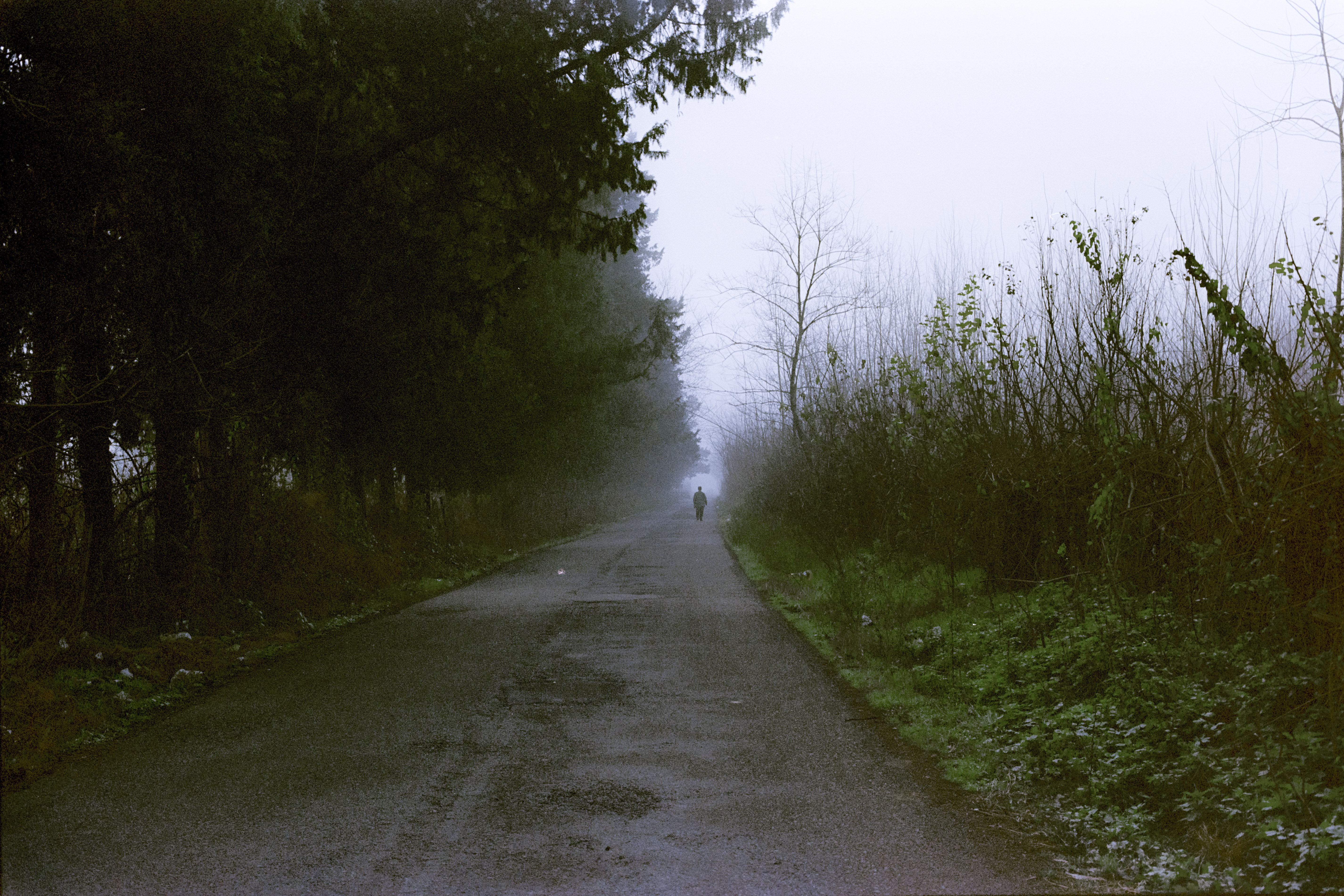 Wander #1/399