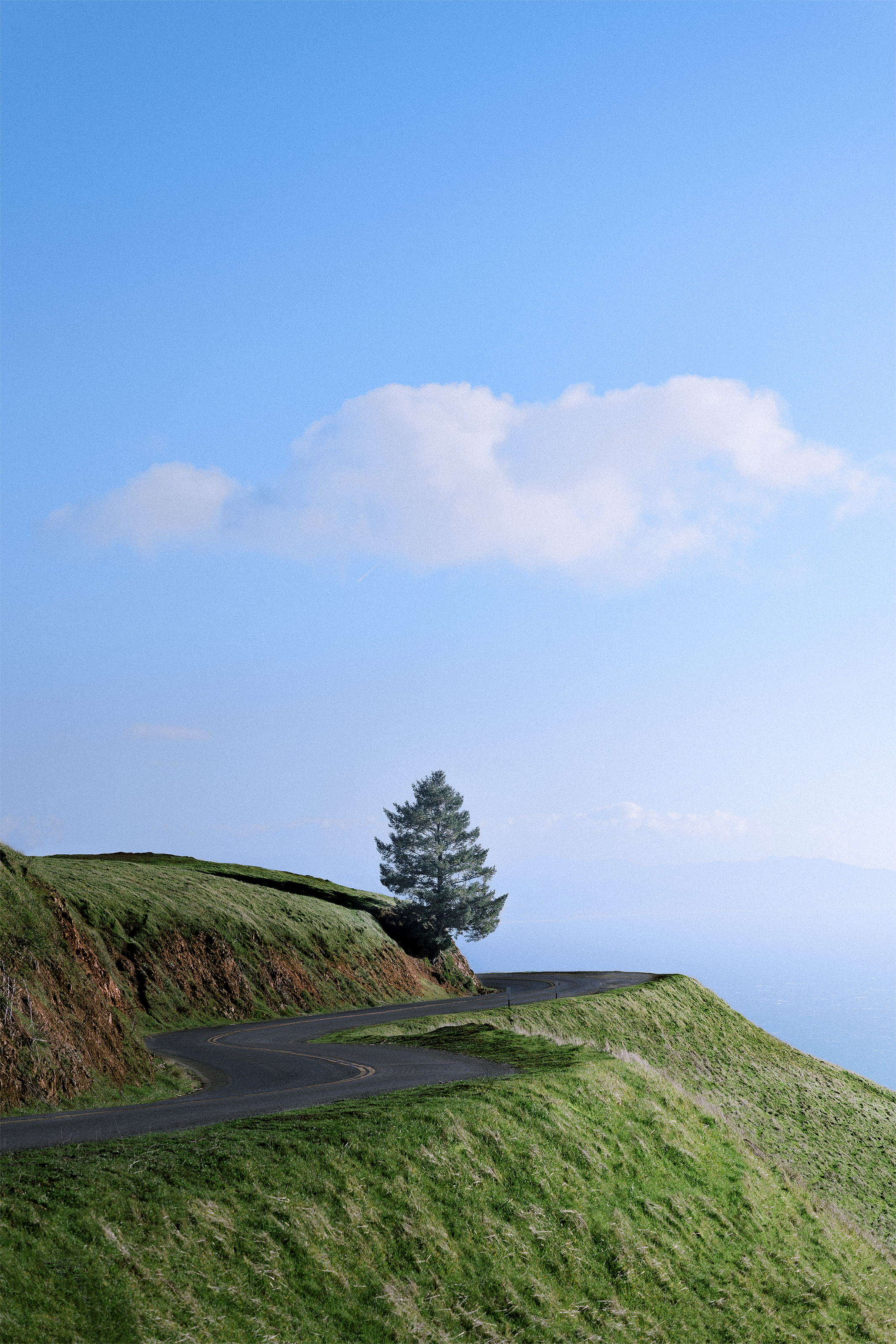 summer dreams in blue #49