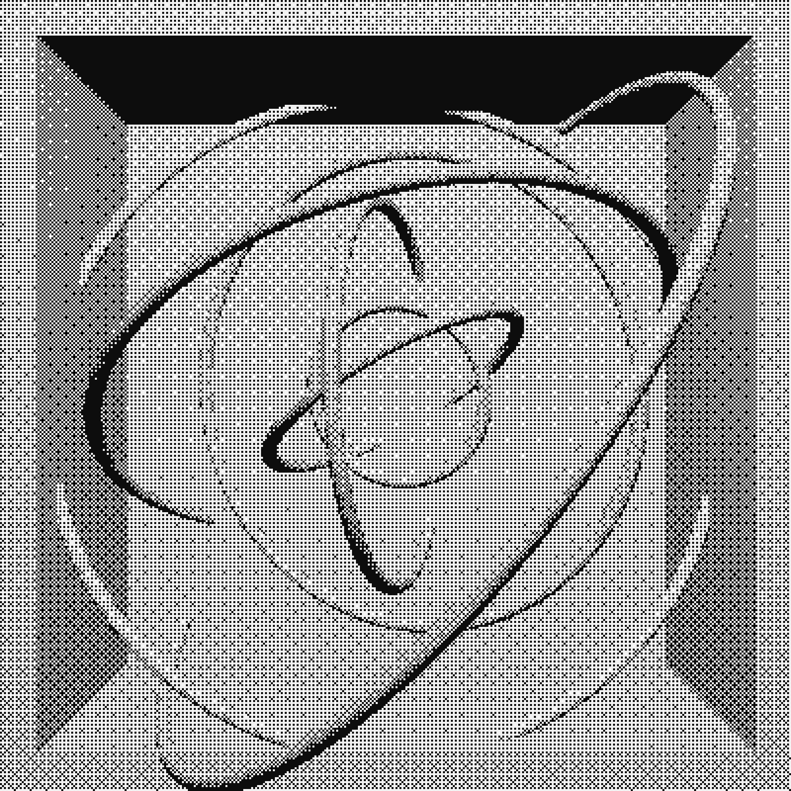 Genuary 14