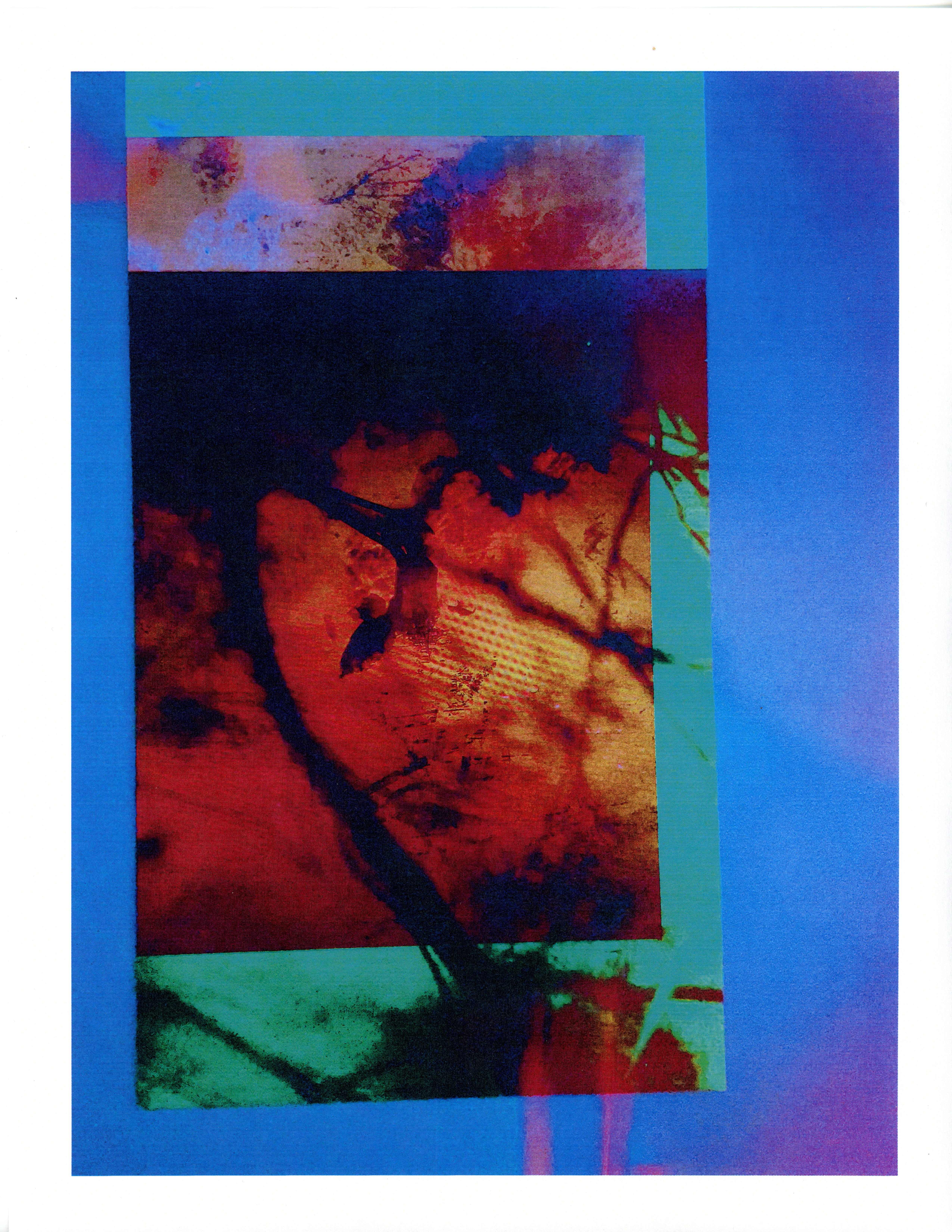 The life is in the scan.