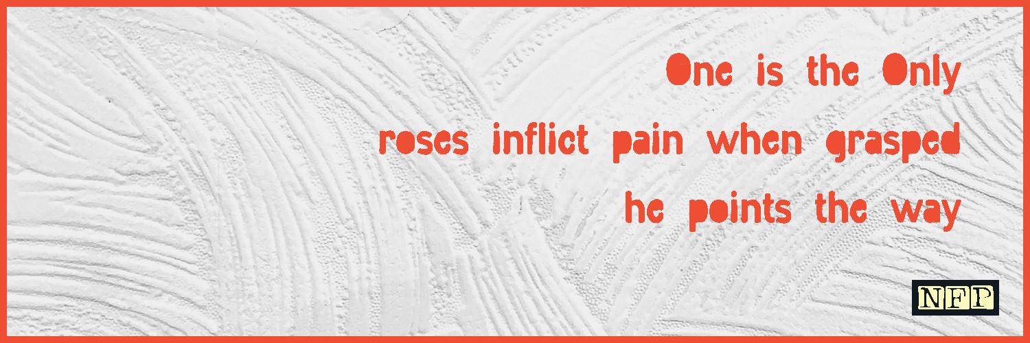 NotFungiblePoem #6350