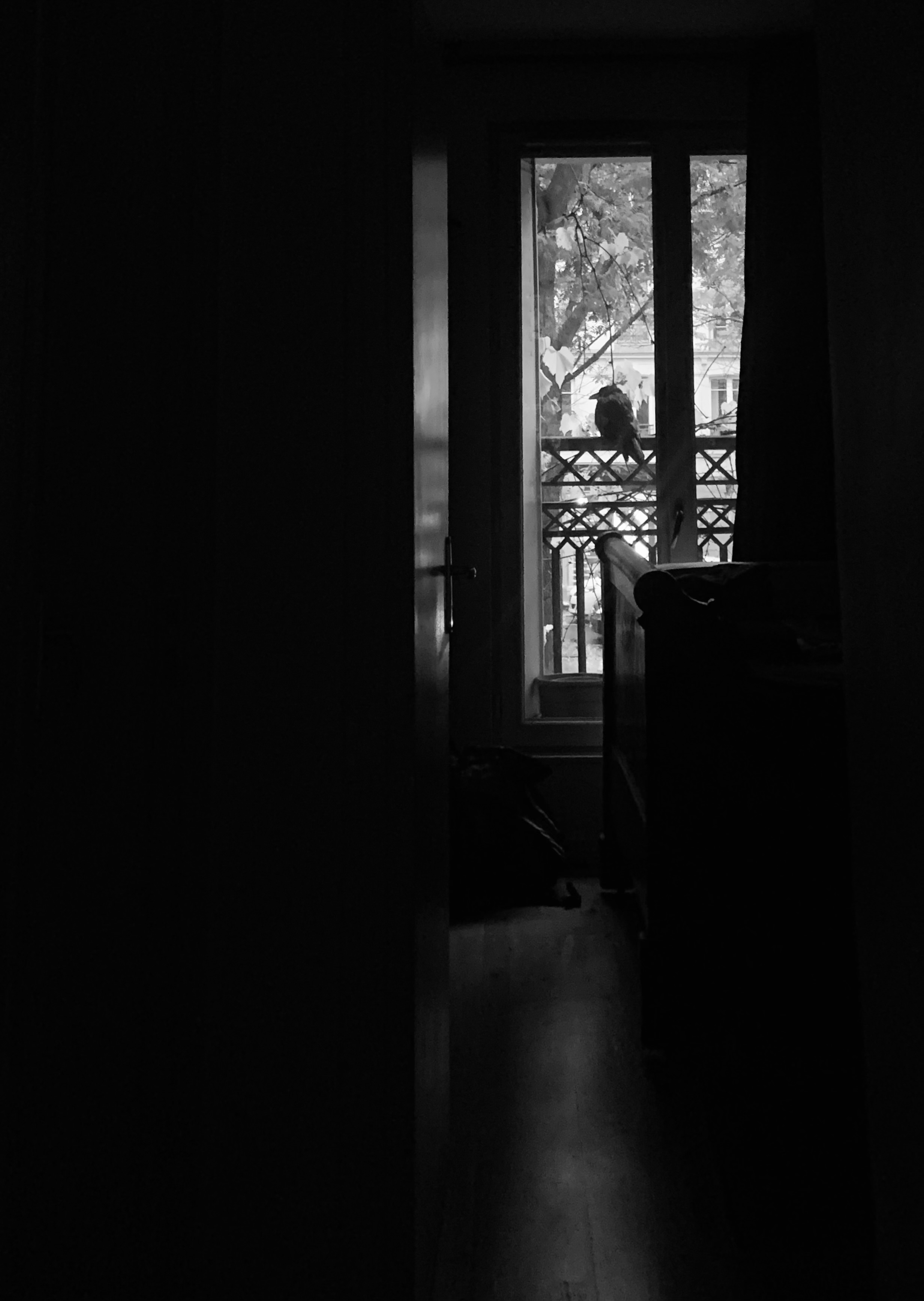 “Whispers of Solitude” #12