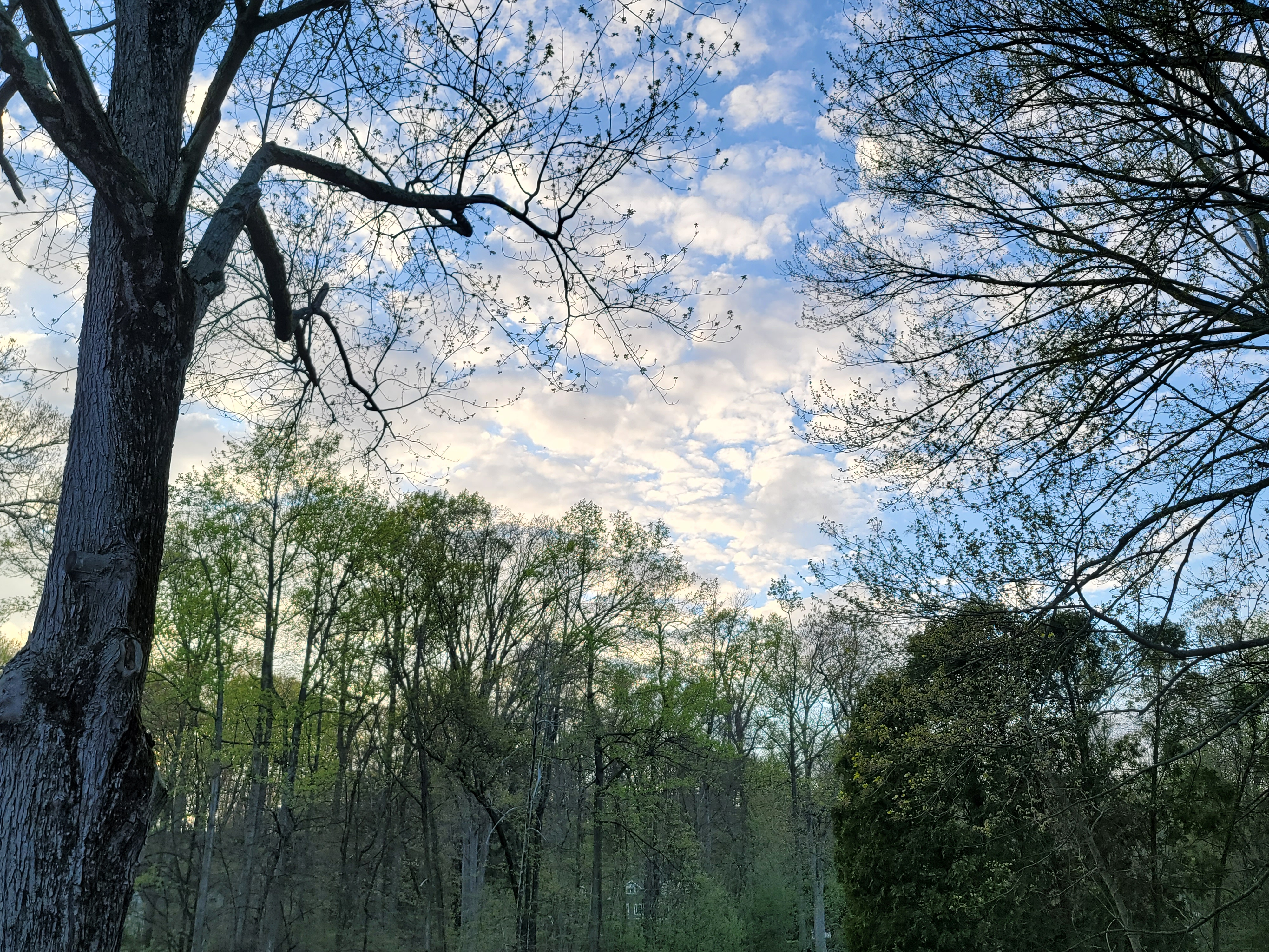 May 4, 2022 7:14pm est